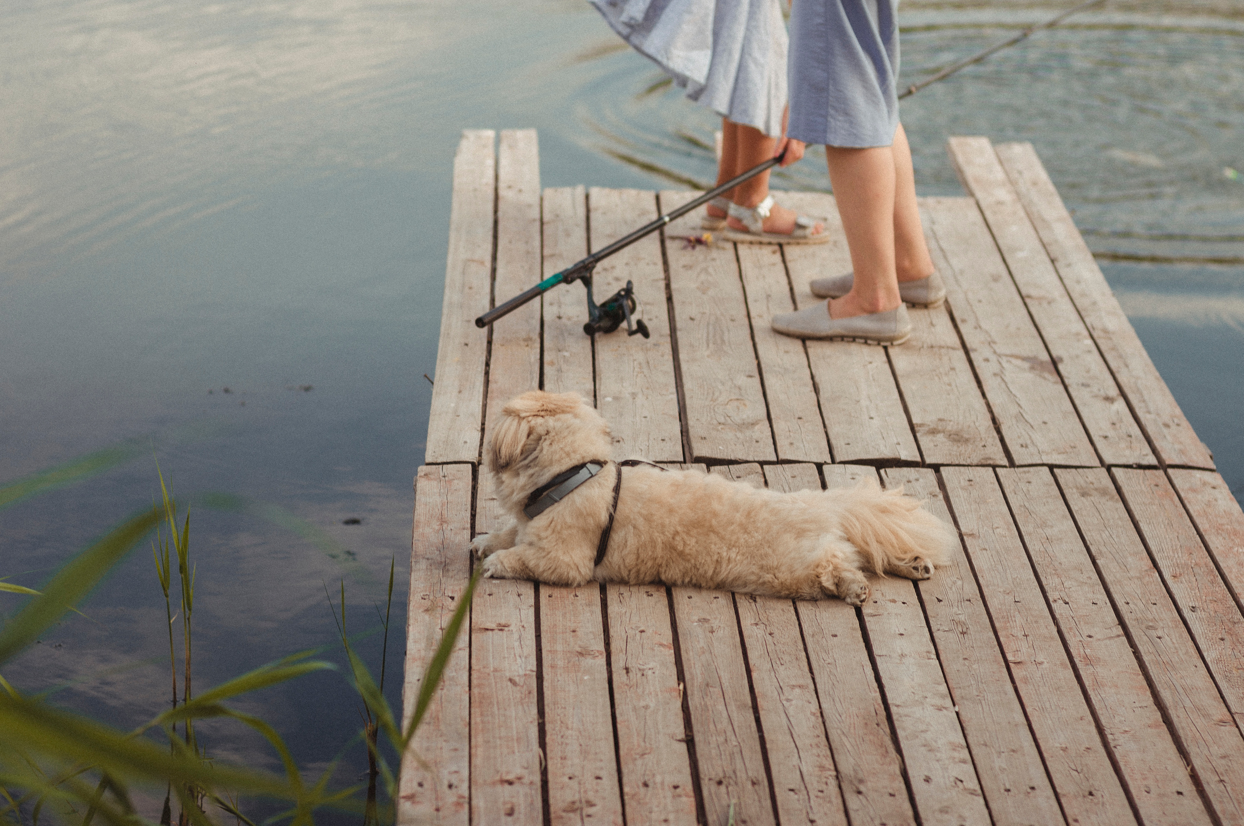 Семья Веры. Фотограф Катерина Тюрина. Саратов