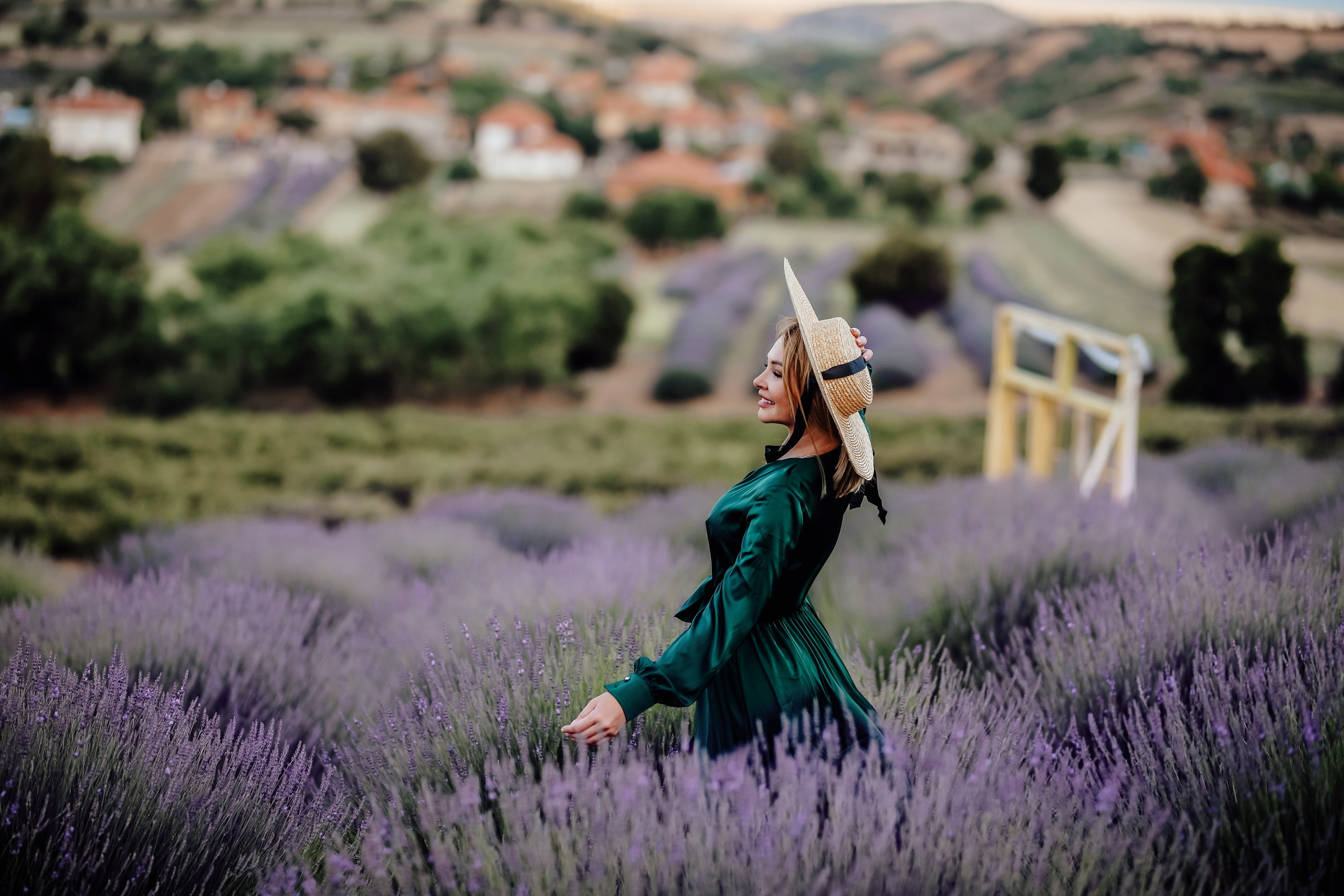 Lavender fields in Turkey