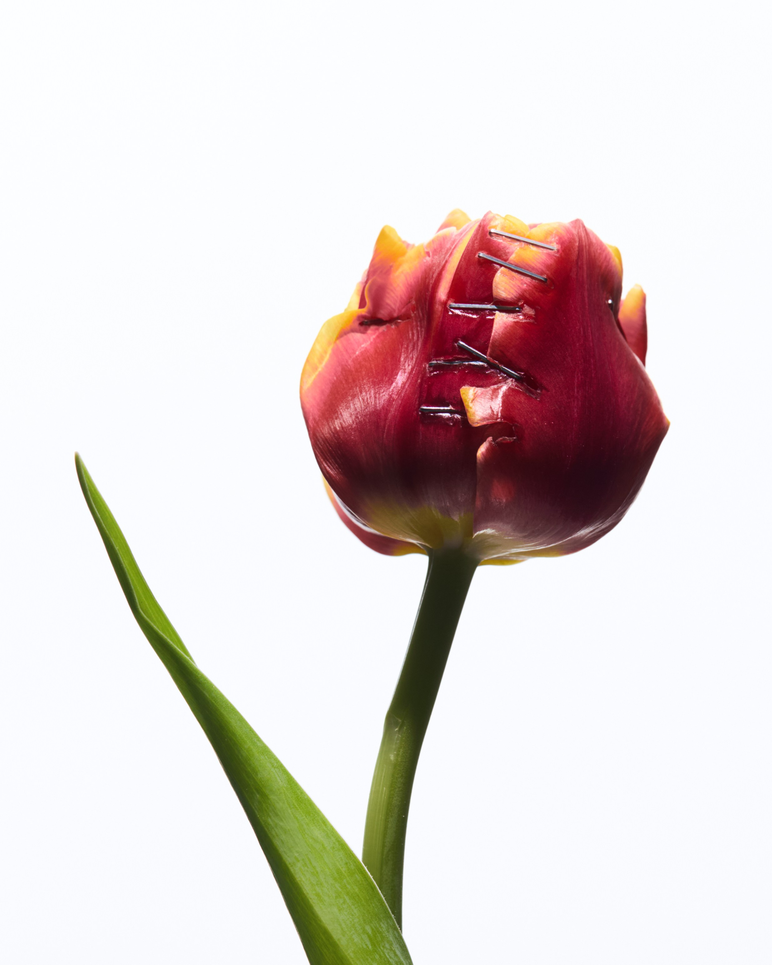 SERGEY NAUMOV. Главная