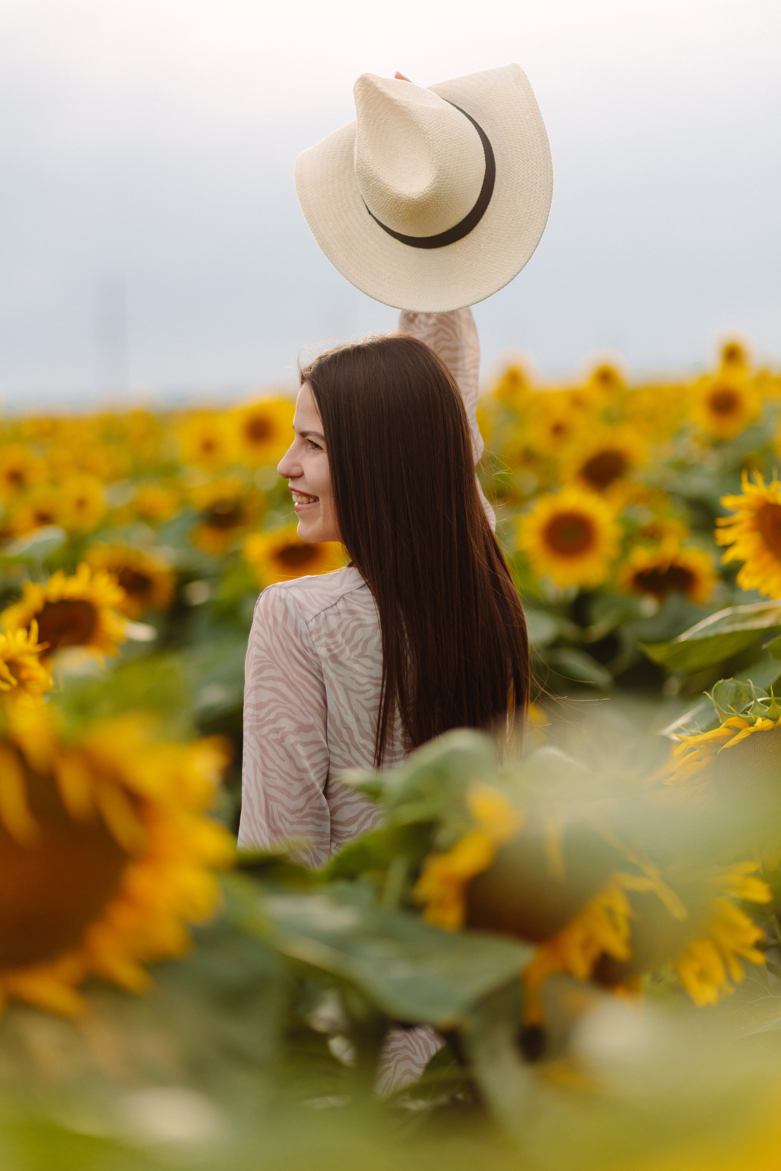 Подсолнухи. Dima Lemeshevsky