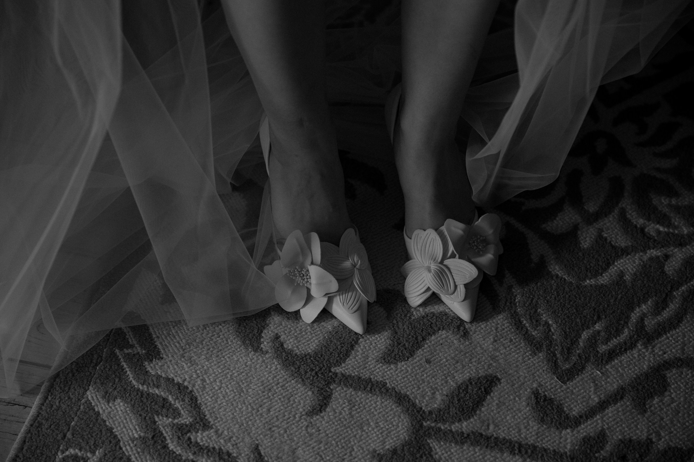 Свадьба пес и котики. Dima Lemeshevsky