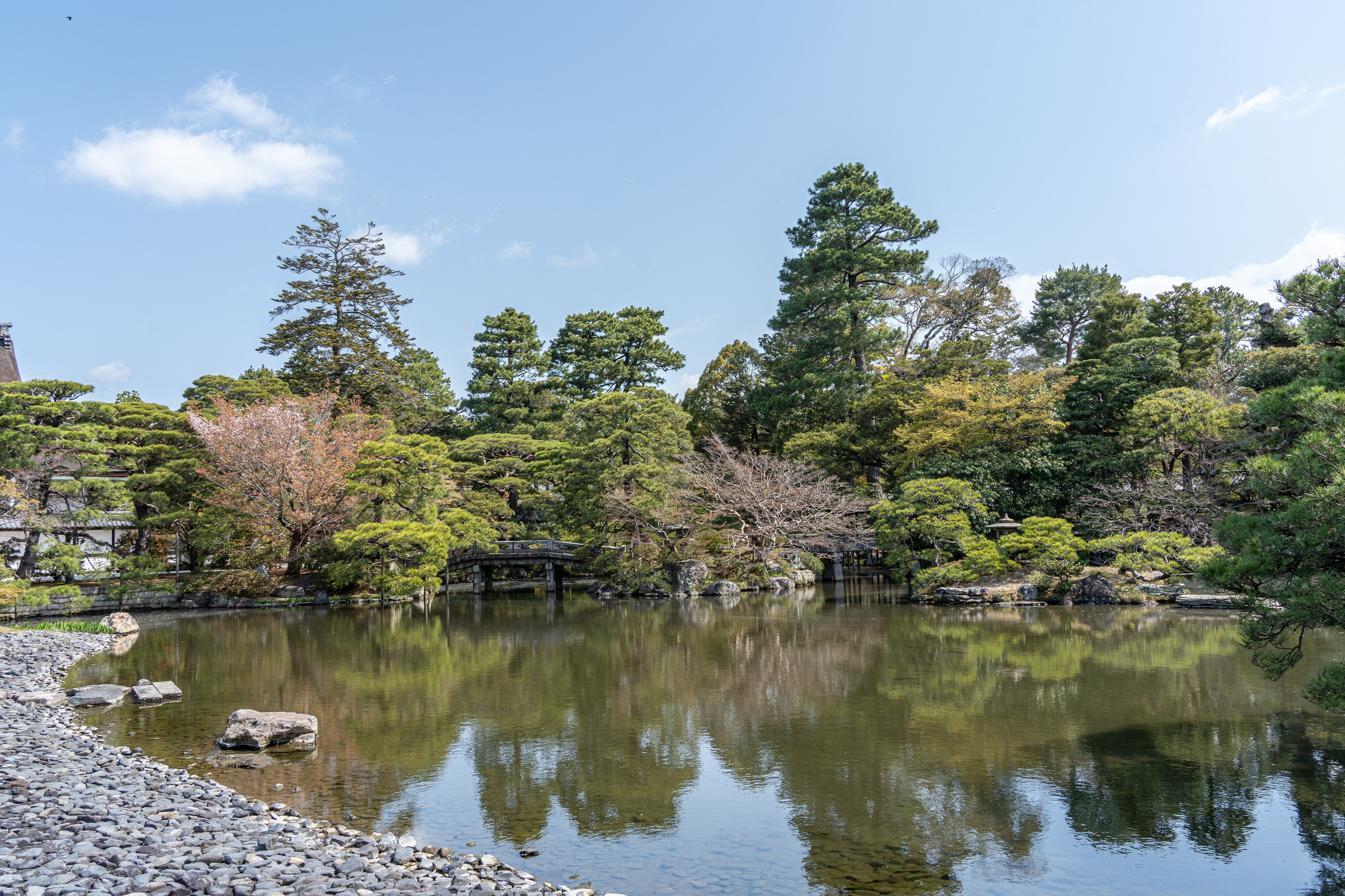 Япония, сакура. Творческие сьемки