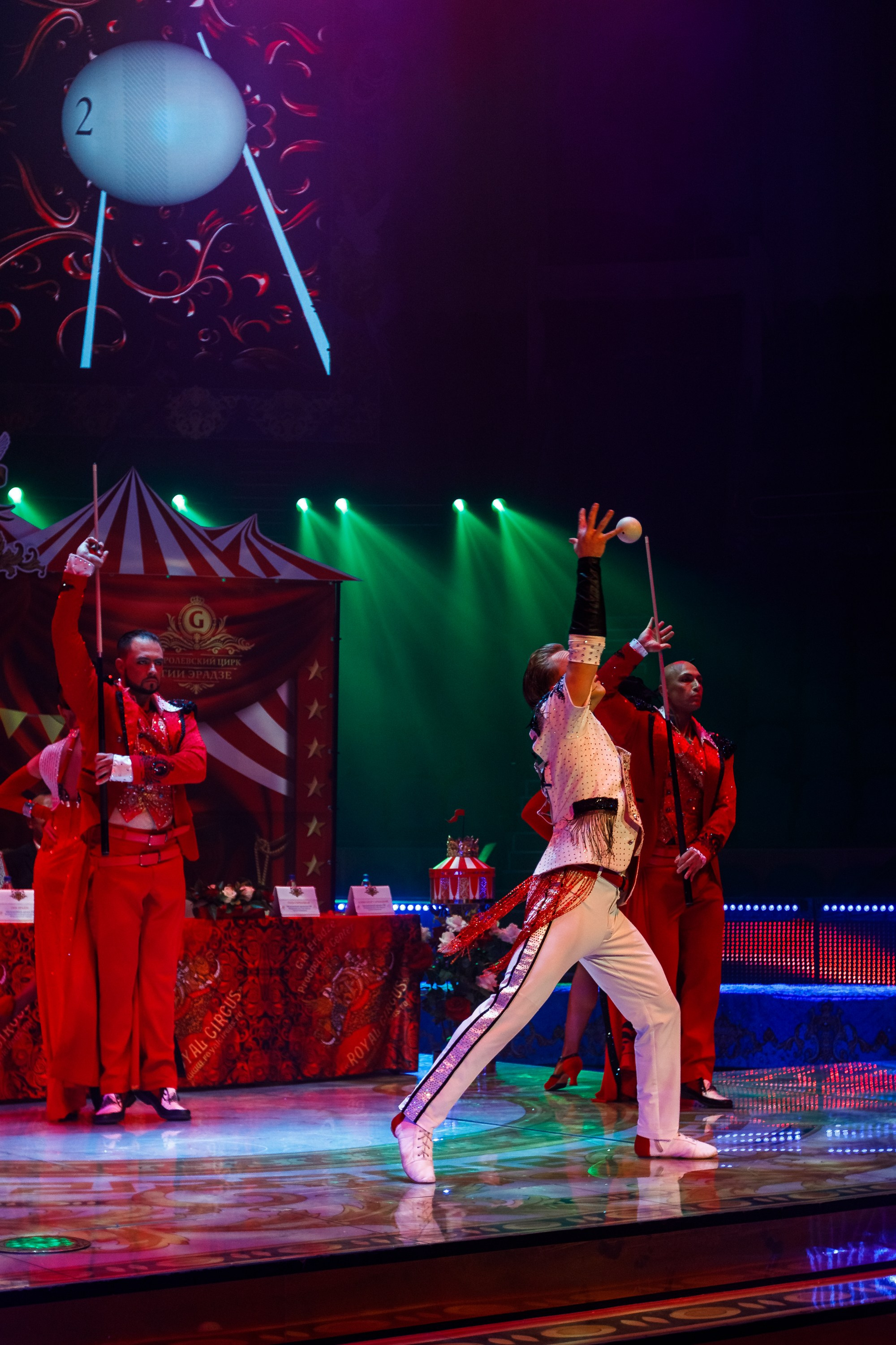 Сочинский росгорцирк Шоу Гии Эрадзе цирк. Профессиональный фотограф в Сочи Виктория Джой. Обучение