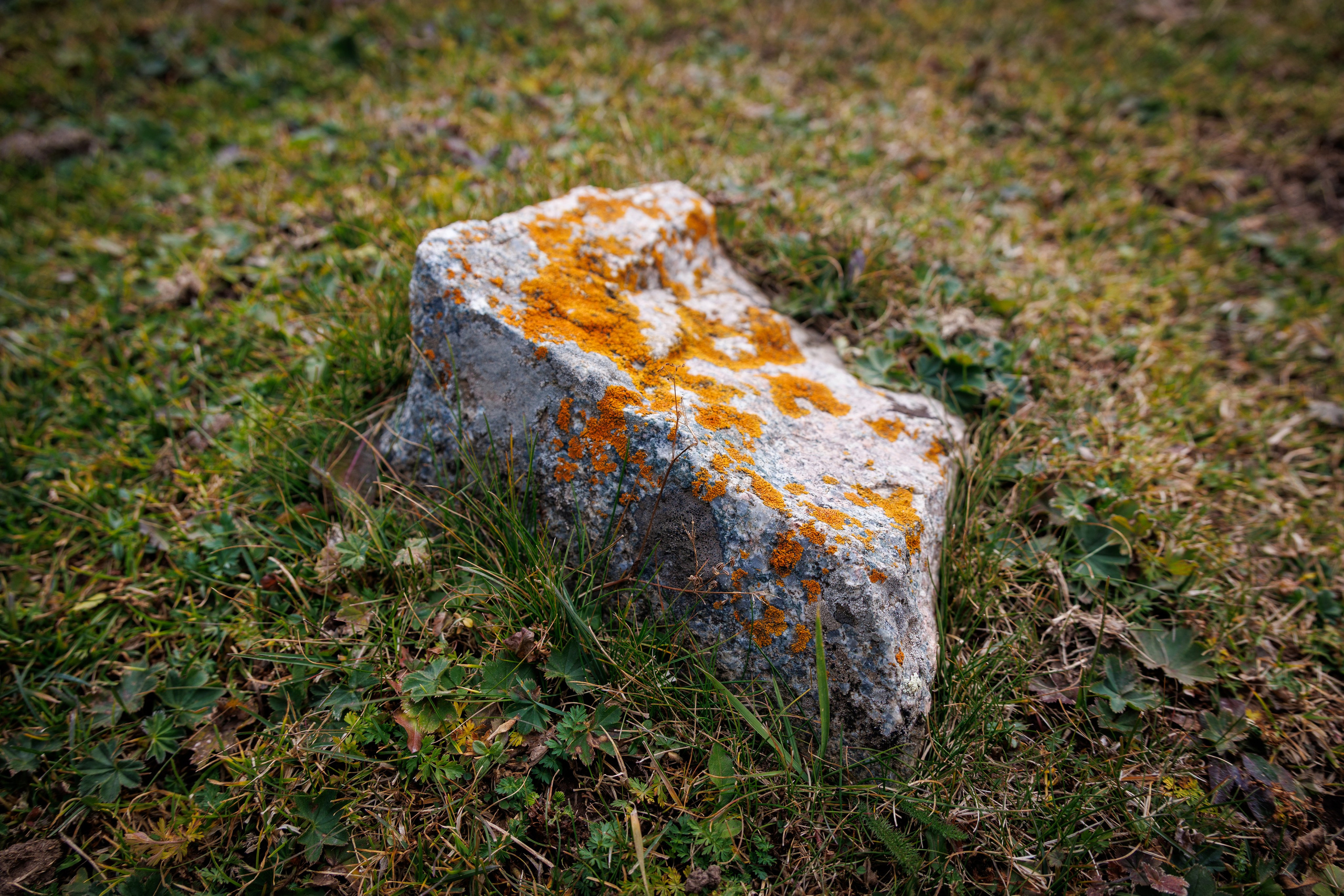 Кыргызстан | travel-репортаж. Портретный фотограф Москва | Елена Столиванова