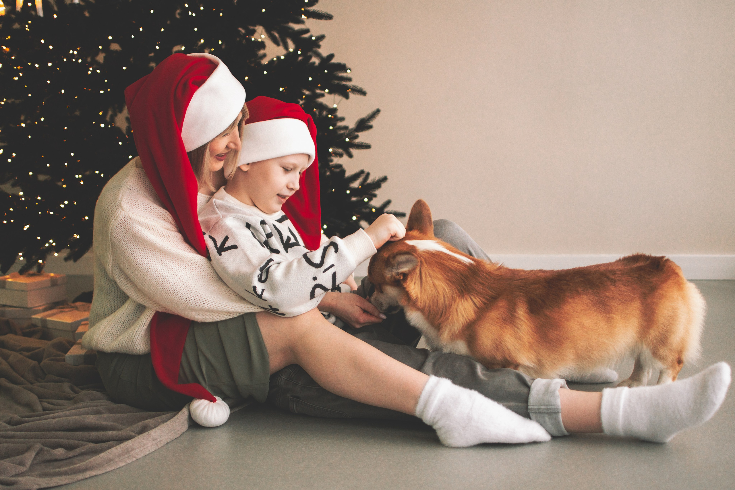 Степан и Анастасия. Семейный и свадебный фотограф Губкинский и Ставрополь