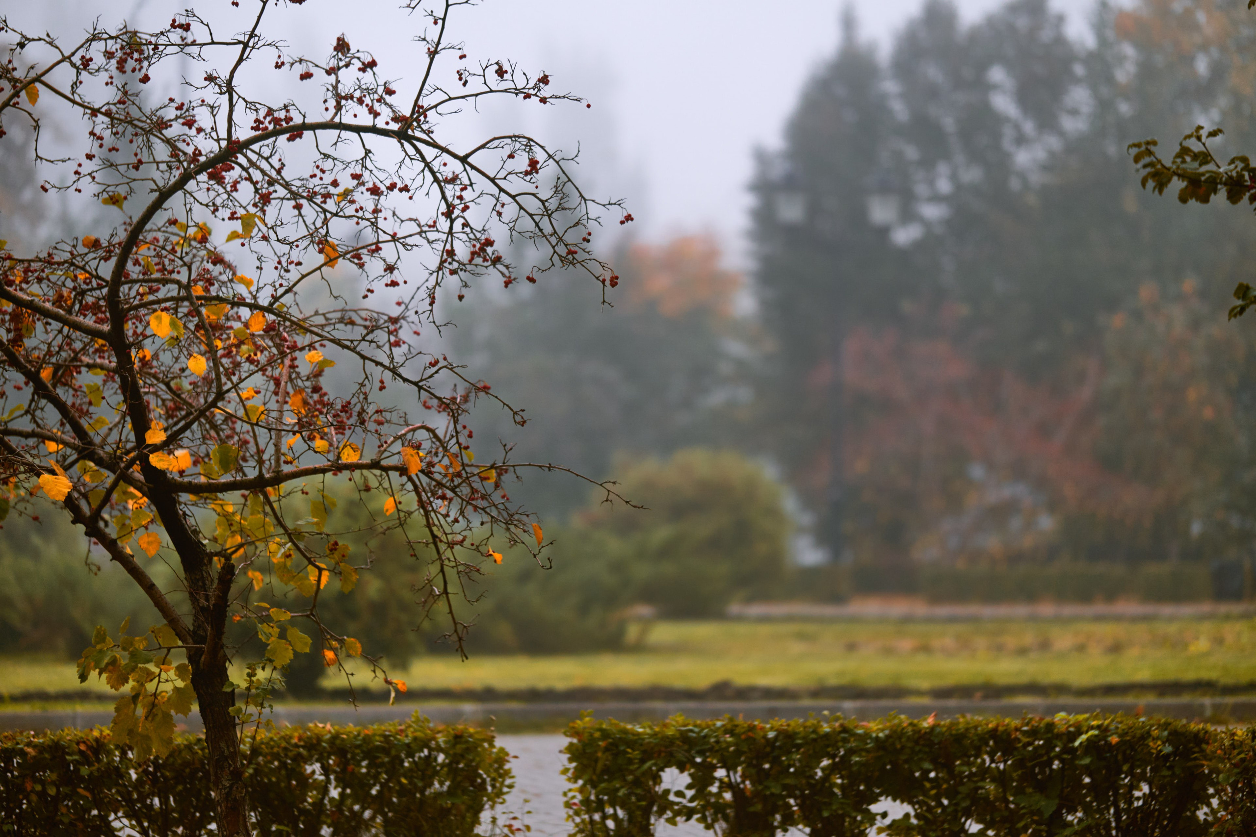Яркие краски осени у Площади Куйбышева
