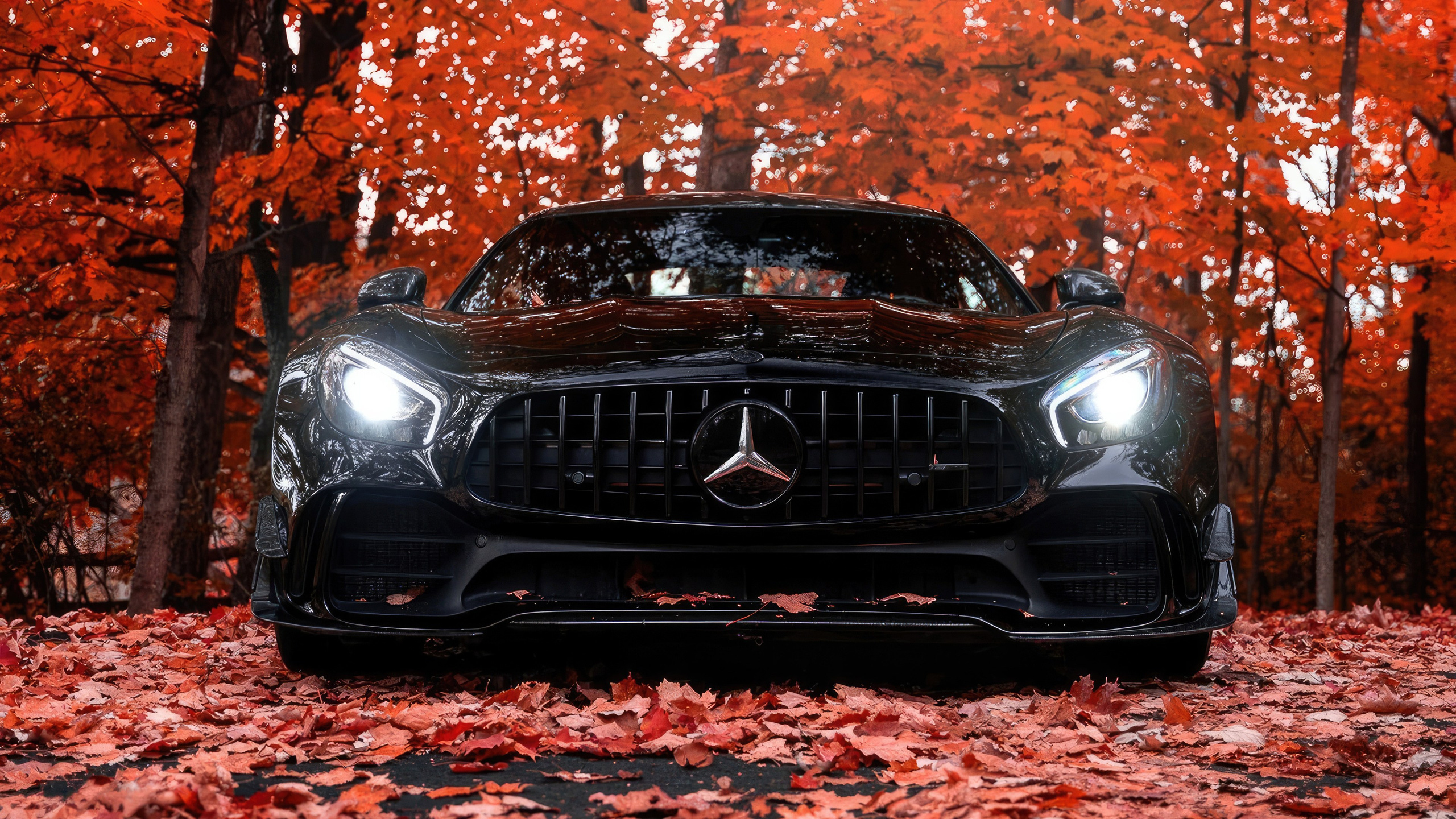 Mercedes-Benz C. Photo-nk