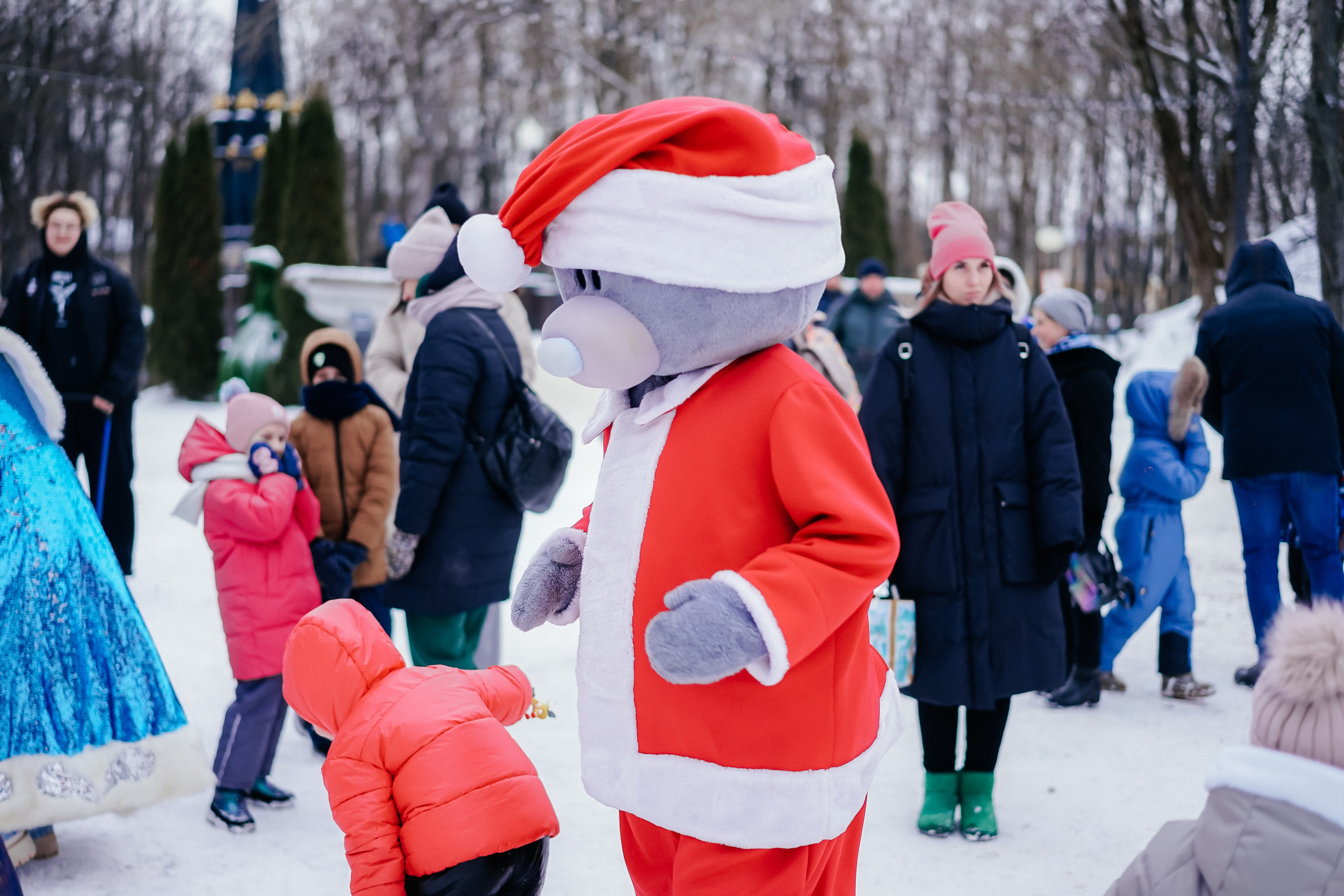 «Предновогодний переполох» Лопатинский сад, 14.12.2024. Фотограф и видеограф Смоленск | Студия Цезарь