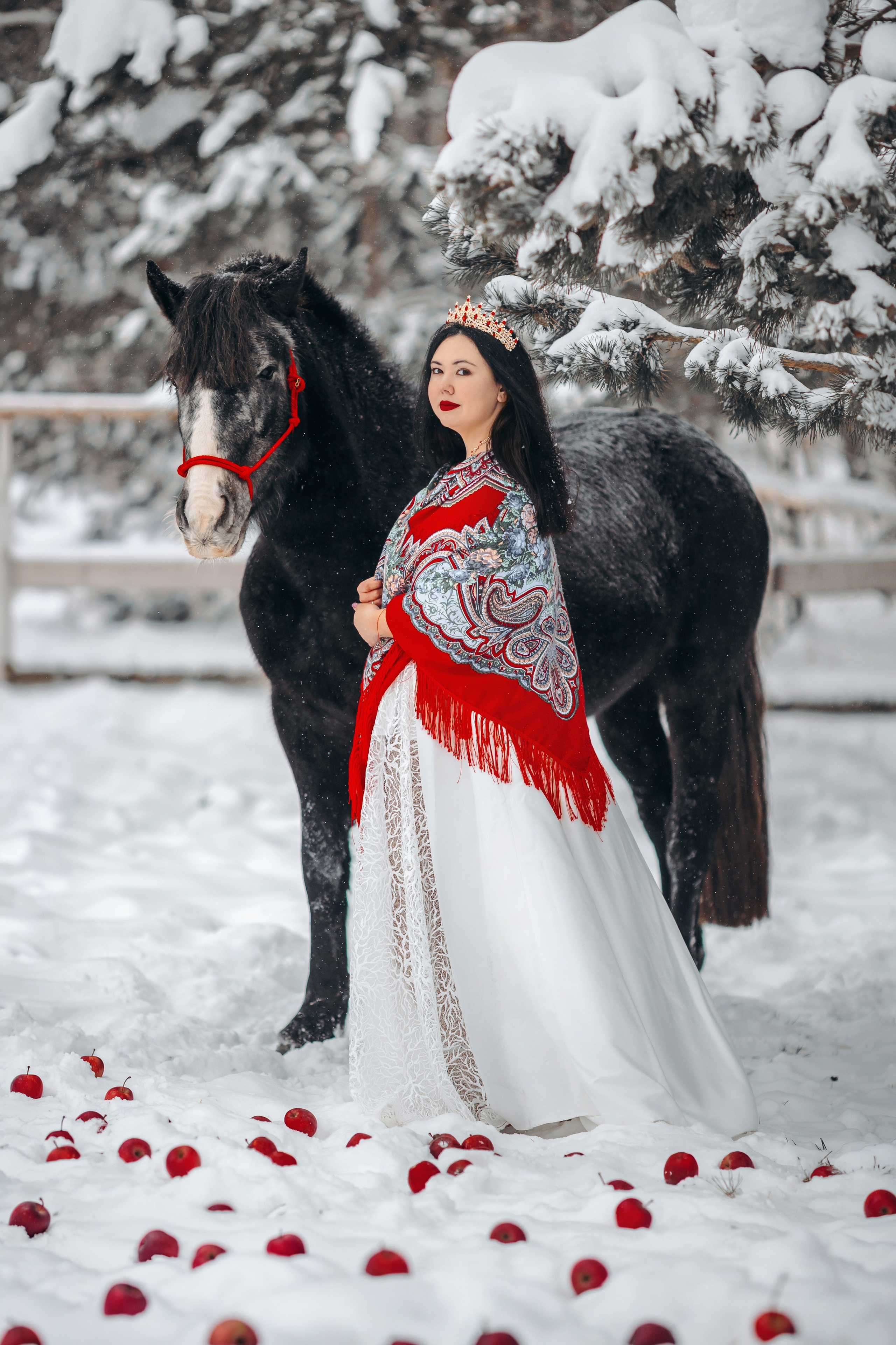 Яблоки на снегу. Анна Молчанова конный фотограф в Тюмени | фотосессии с лошадьми Тюмень