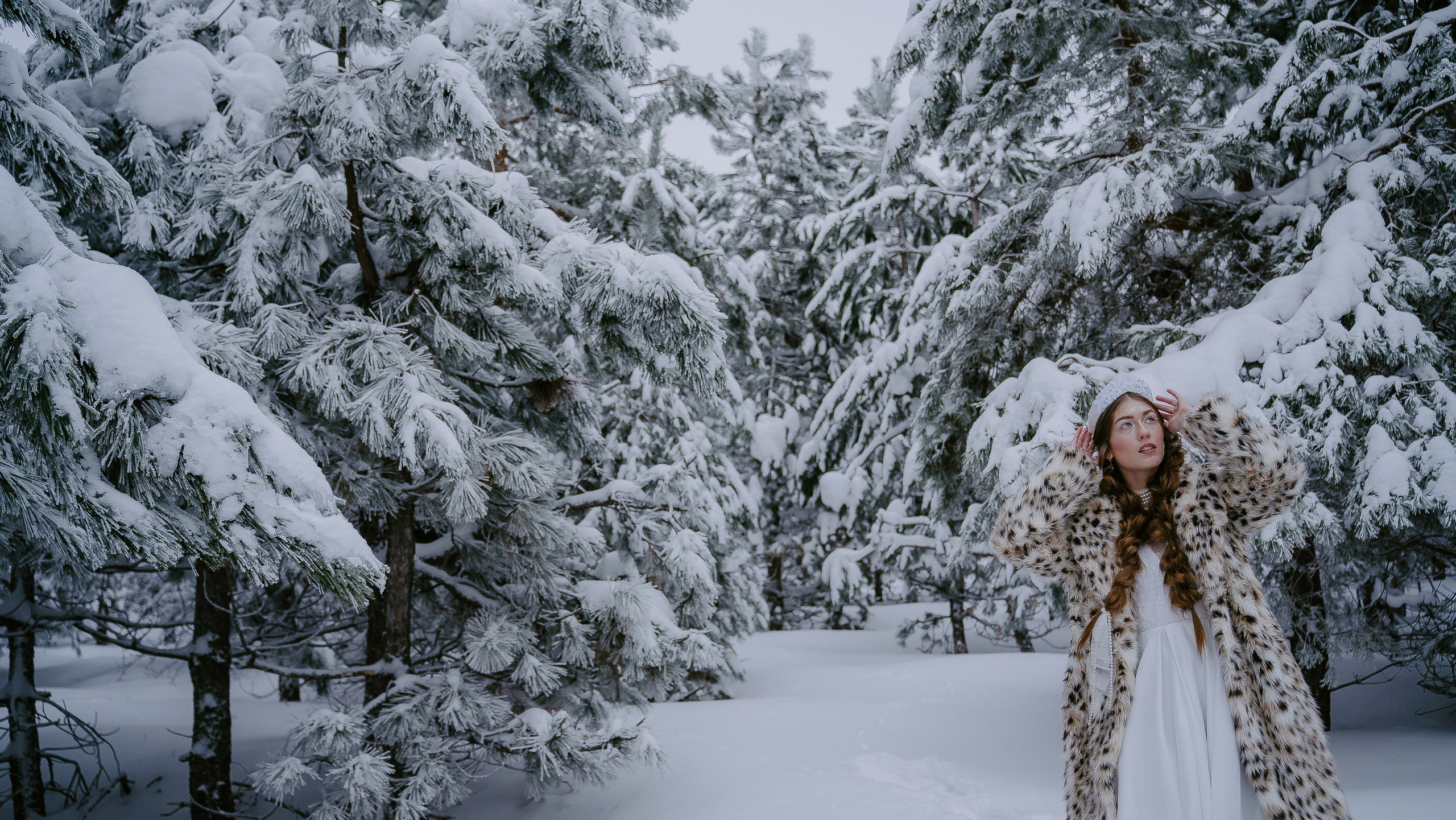 Дан и Татьяна — Зимняя сказка. Свадебные фотограф и видеограф в Саратове