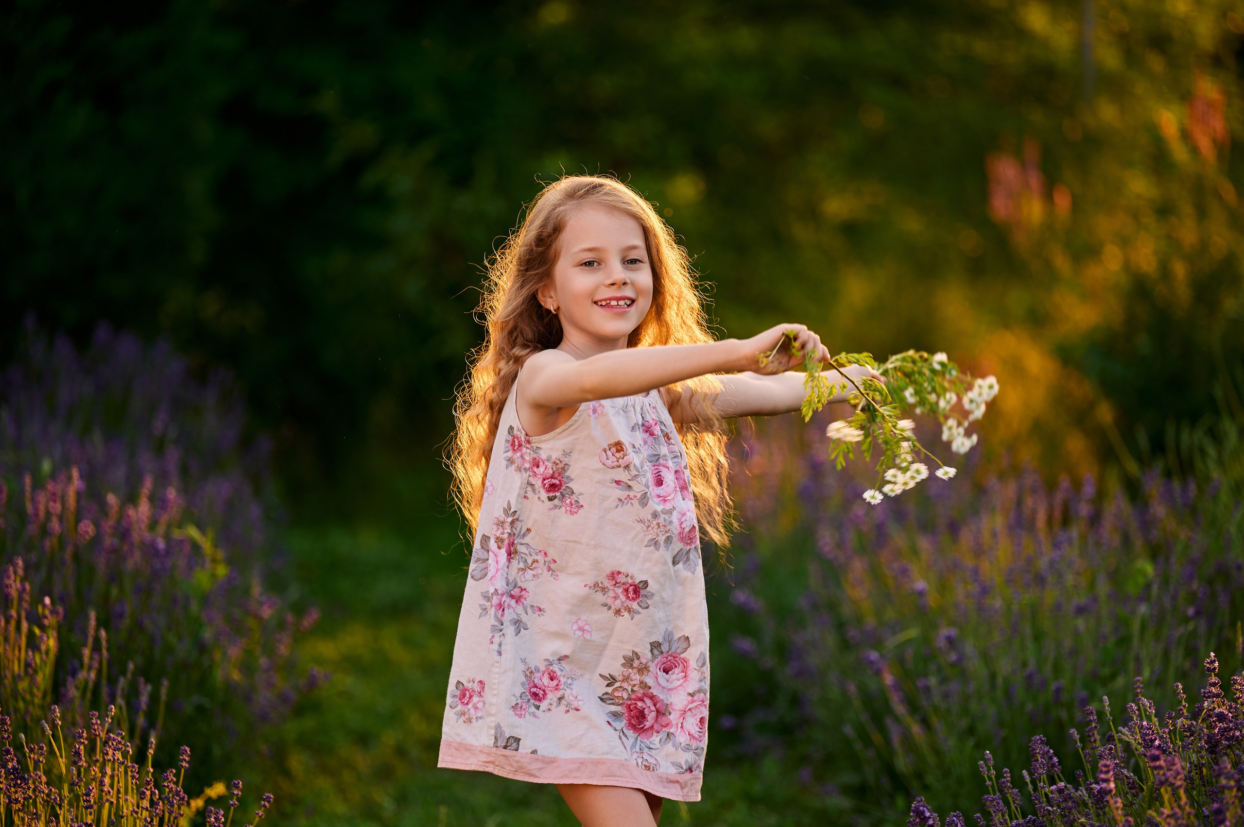 Лаванда на закате. Свадебный, семейный фотограф в Краснодаре