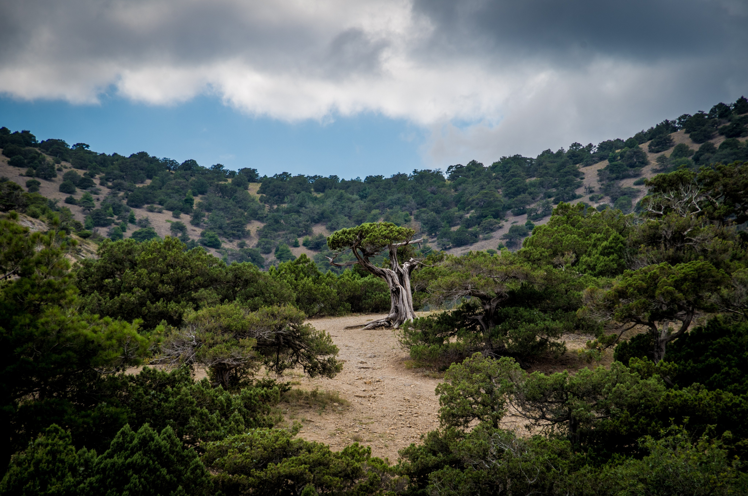 Фотограф в Королеве — Профессиональные фотосессии для всей семьи. Наталья Дукалова фотограф Щелково Королев Пушкино Москва Балашиха