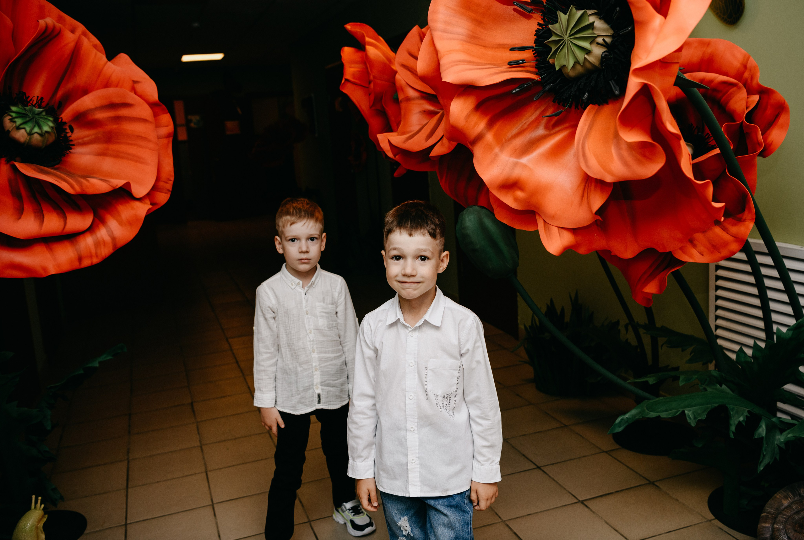 Волшебная страна. Фотограф на выписку из роддома в Москве и МО
