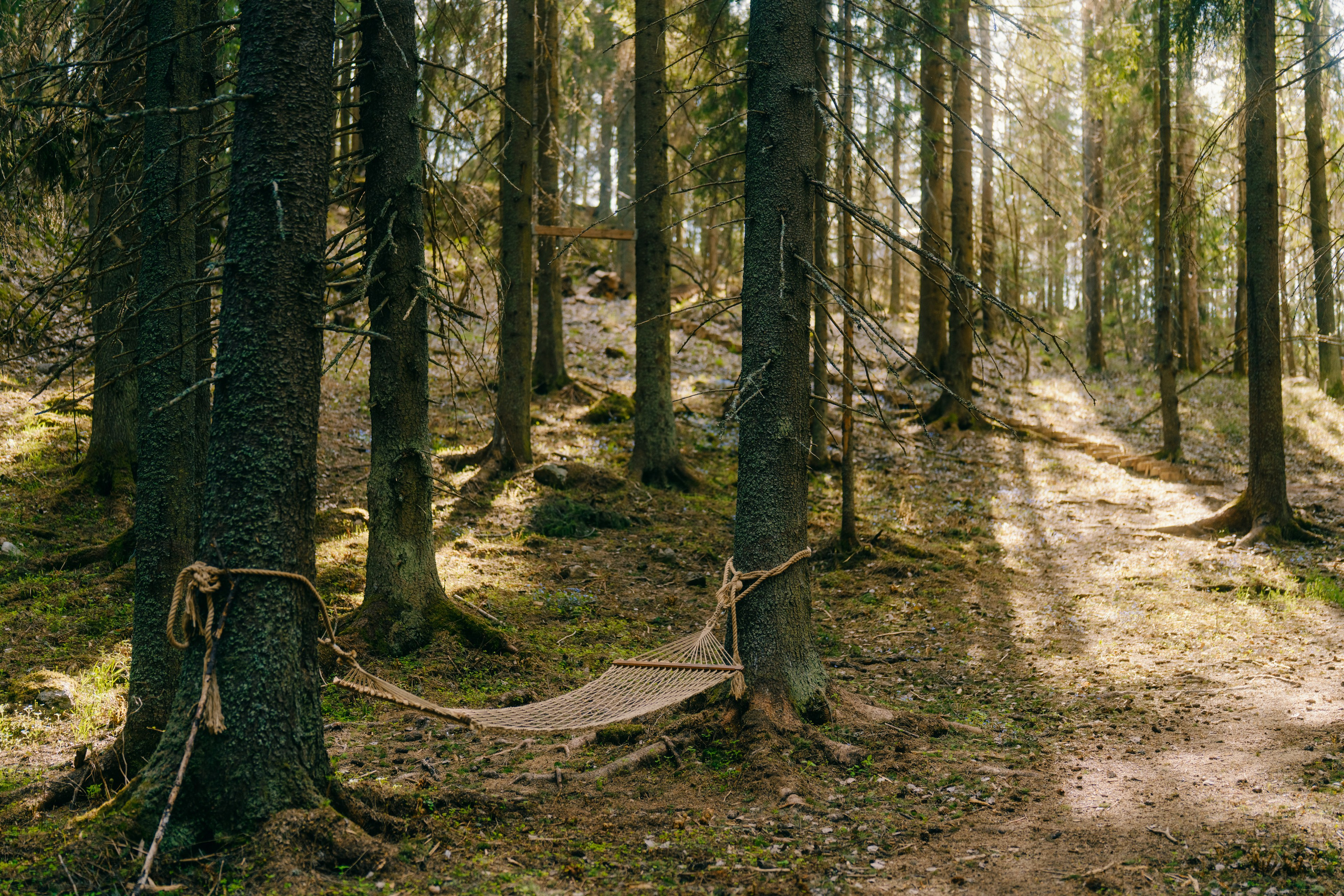Глэмпинг в Карелии Villy Uley. Асхат Бардынов