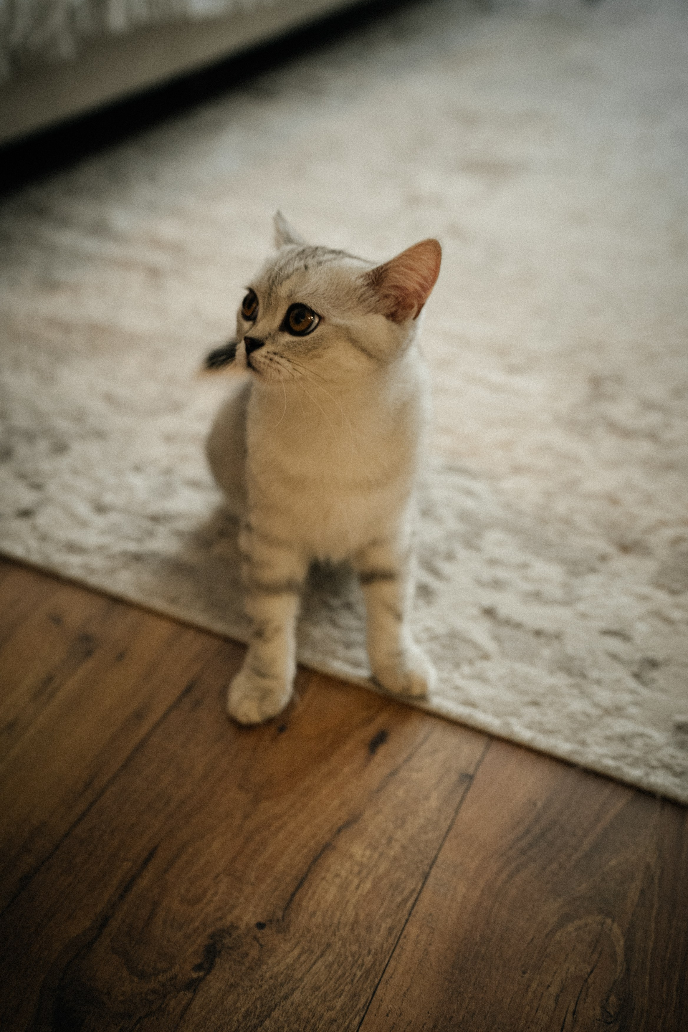 Семья Ксении и Максима. Фотограф | Юлия Арт| Обучение