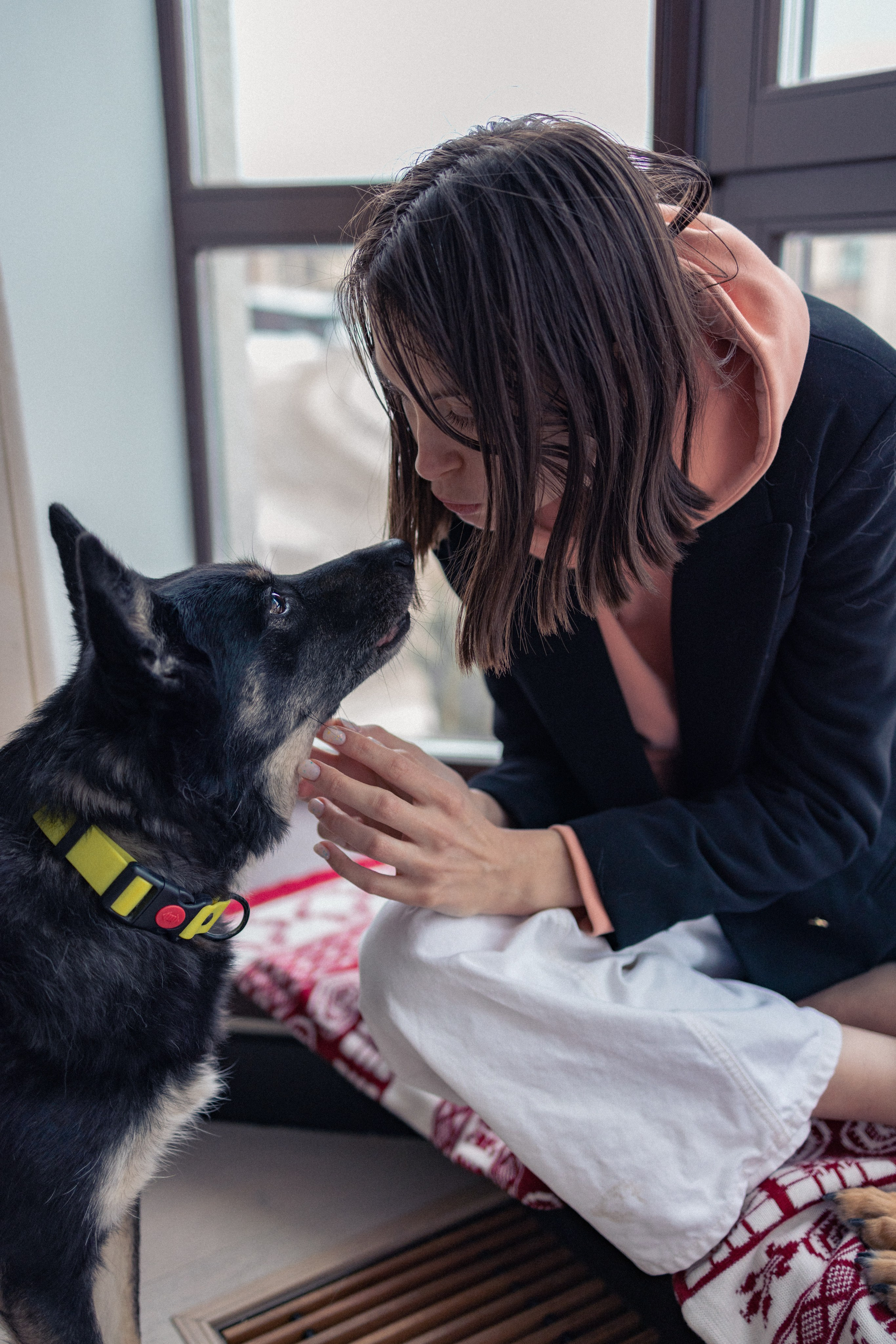 Ника, Матиша и Герда. Фотограф-анималист в Москве Лера Черноног