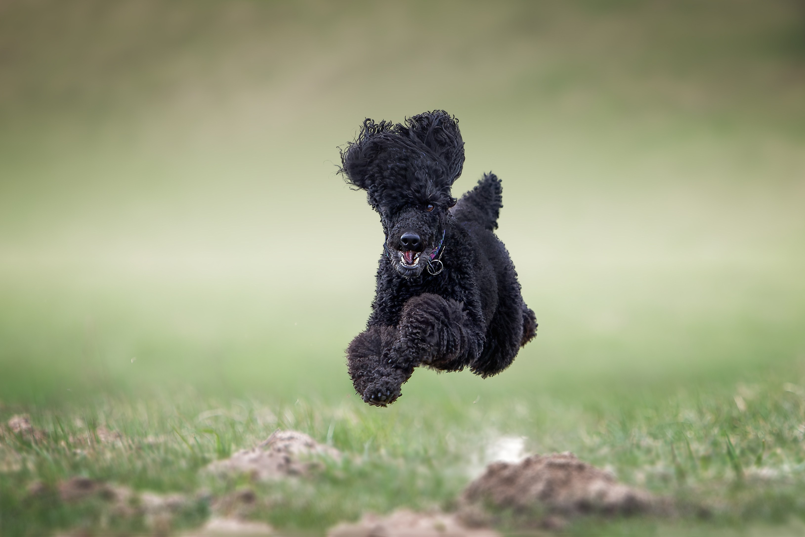 Lure Club 2025. Irenephoto.ru