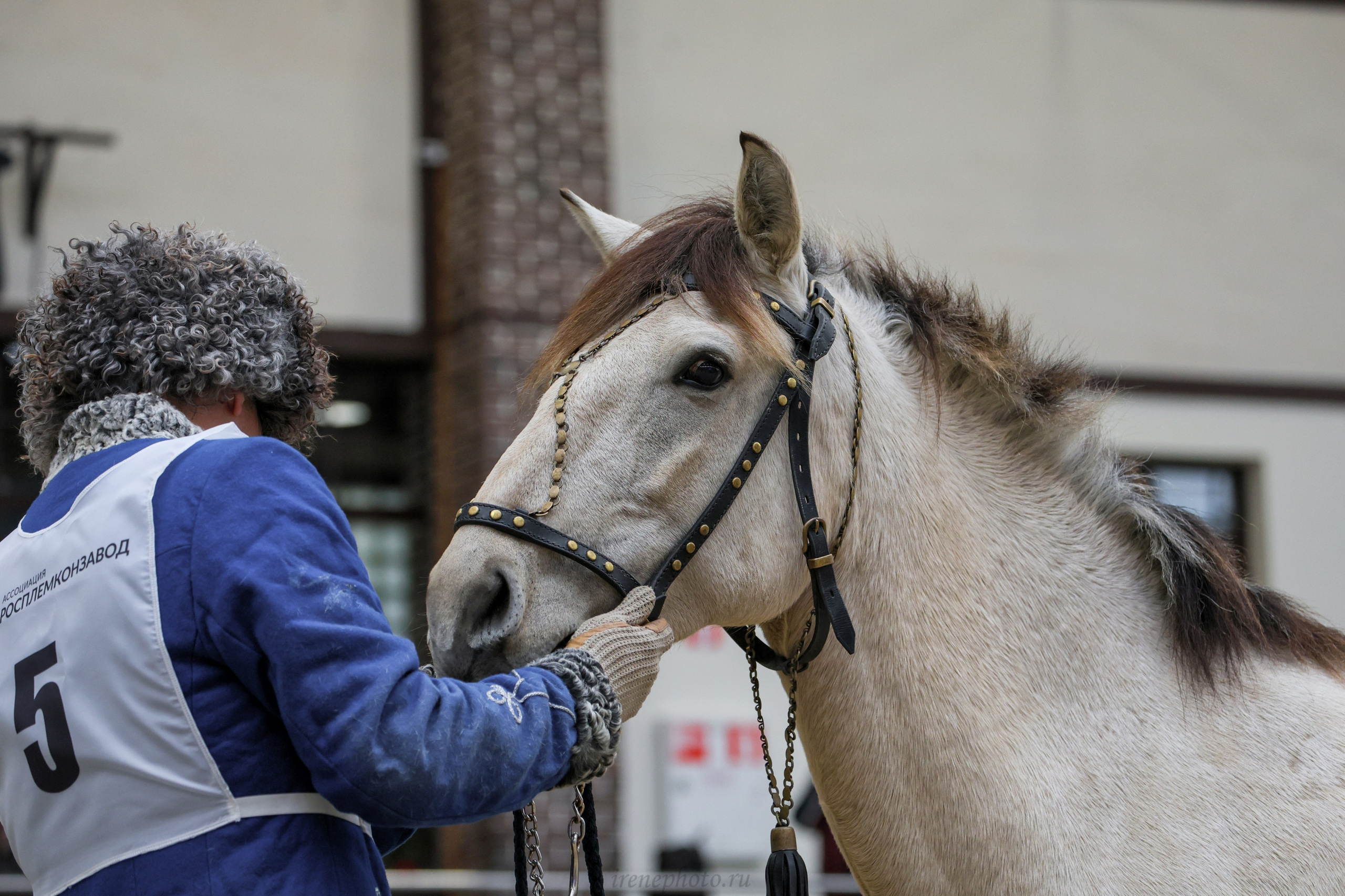 Конная Россия 2024. Irenephoto.ru