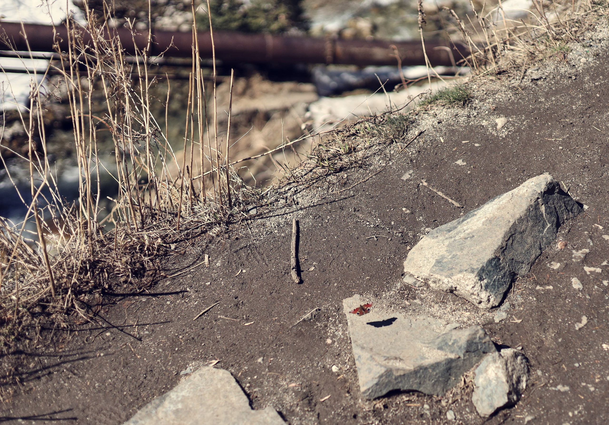 | Девичьи Слезы |. Фотограф |Алматы | Ruslan Zhadigerov