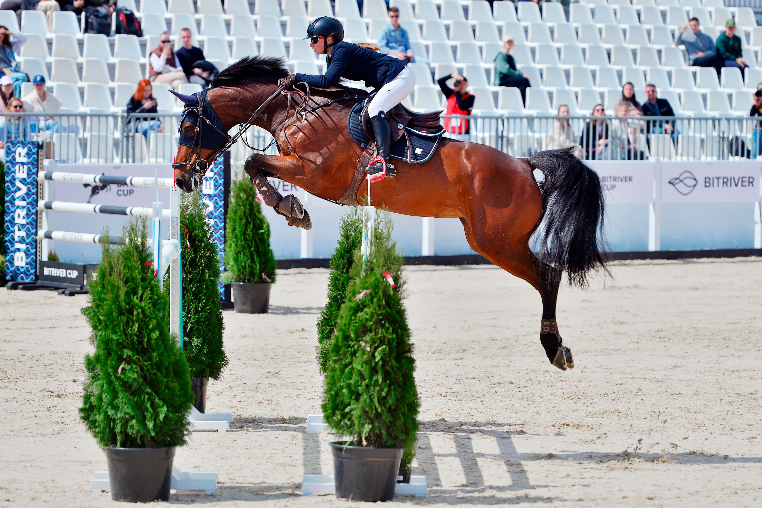 Репортаж Bitriver. Конный фотограф Alesya Safe