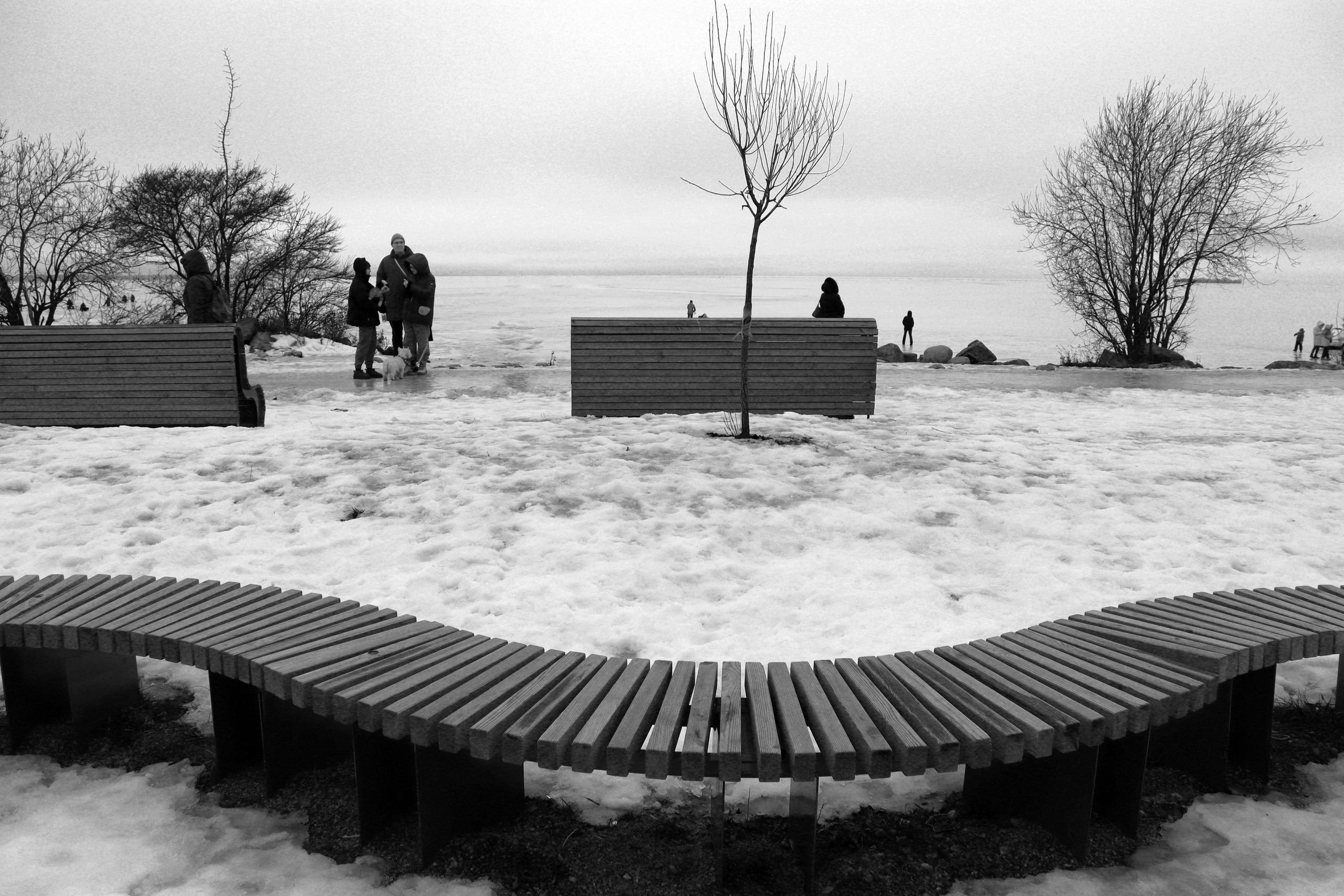 Зима на набережной. Главная