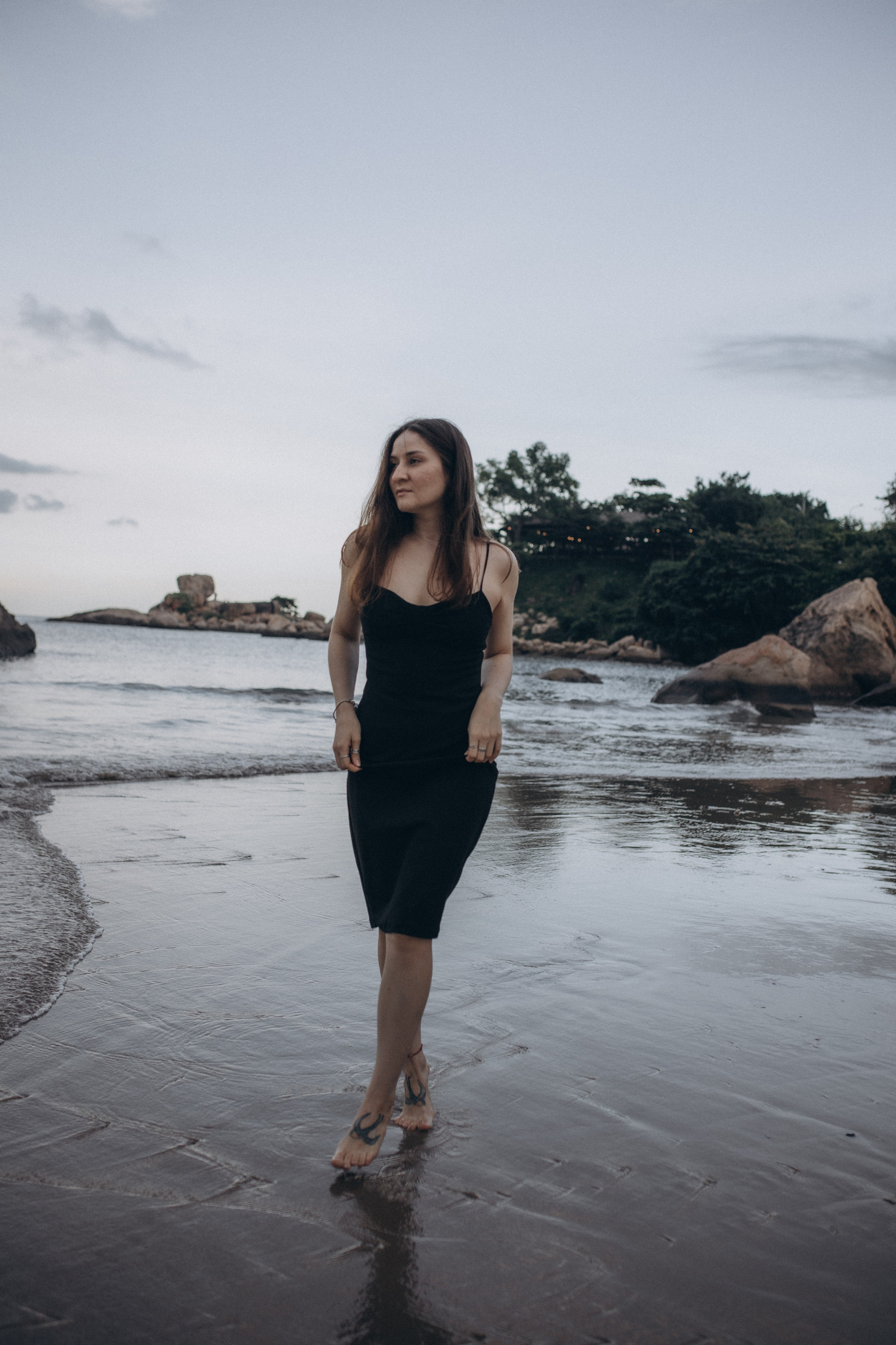 Лилия «сад камней» Вьетнам. Главная