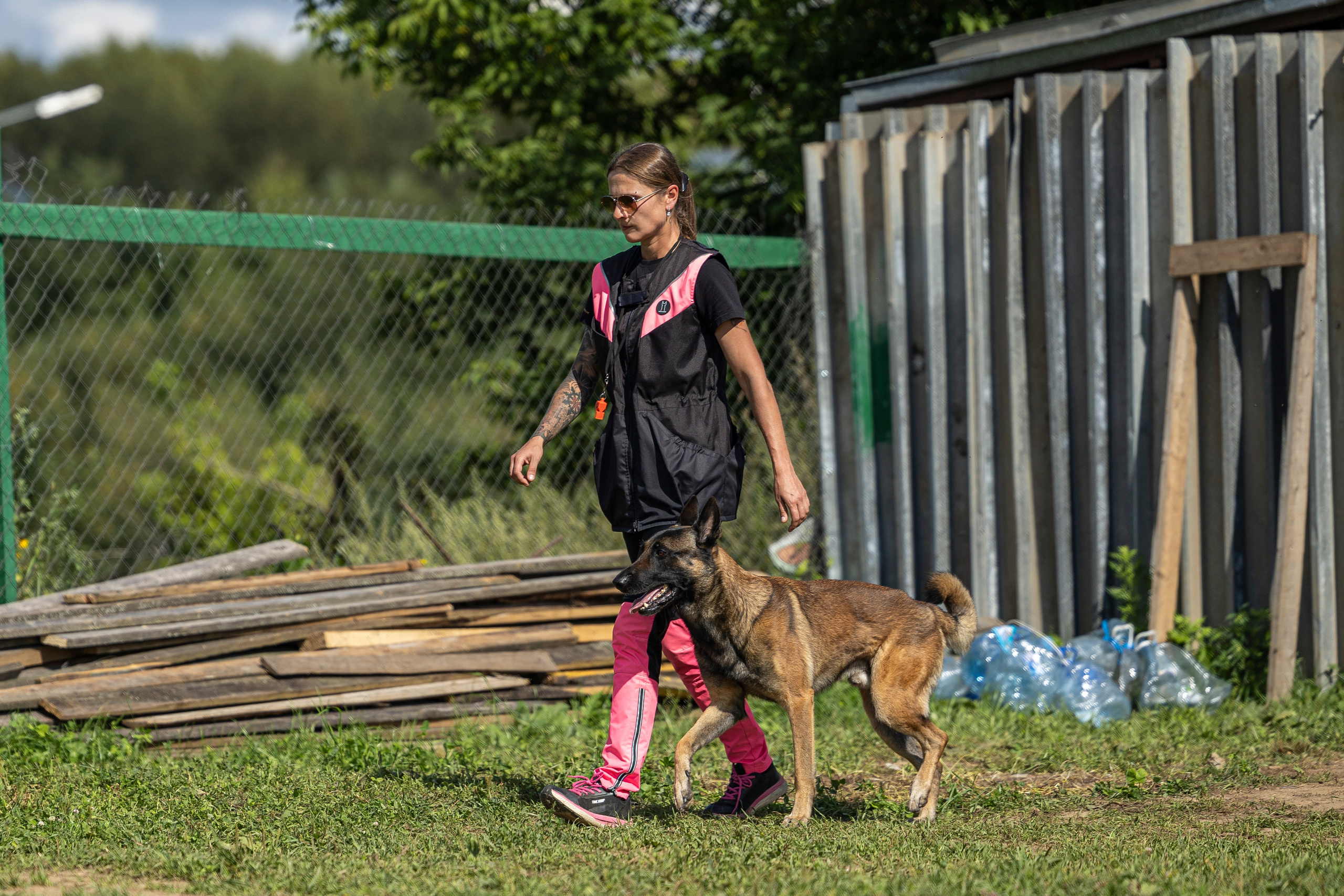Соревнования по Мондьорингу г. Вологда 10-11.08.2024. Фотограф-анималист Анна Маринич