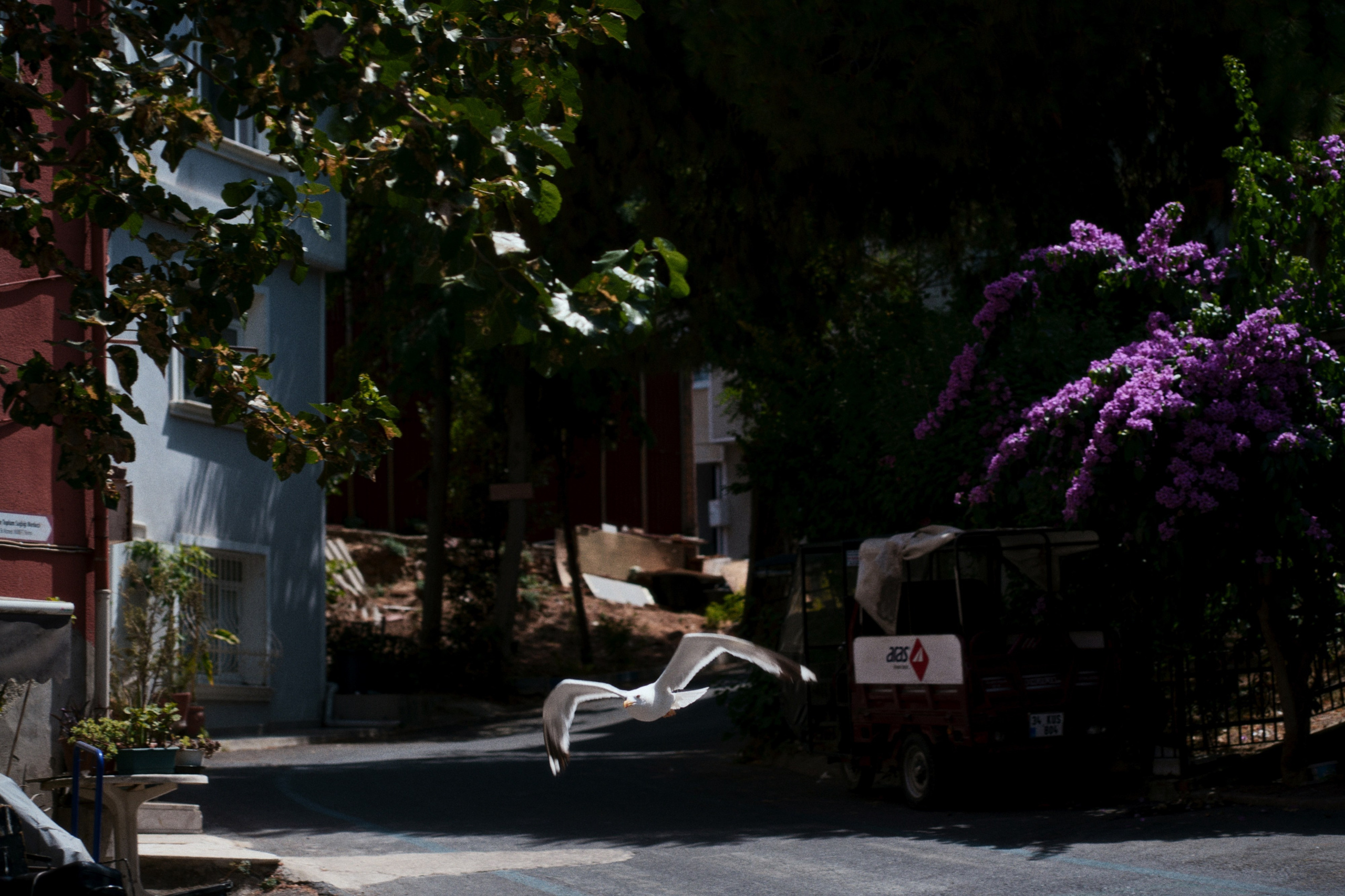 Büyükada х Heybeliada, Istanbul / Türkey SS25. Фотограф Юрин Евгений