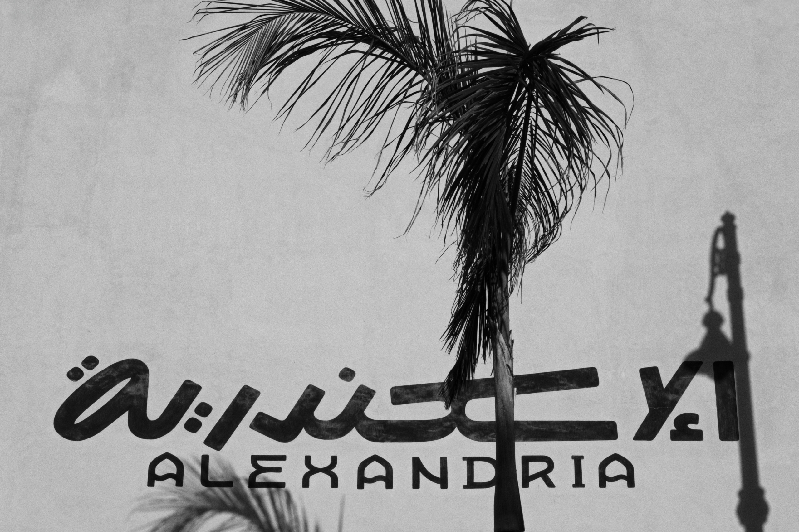 Alexandria / Egypt AW25. Фотограф Юрин Евгений