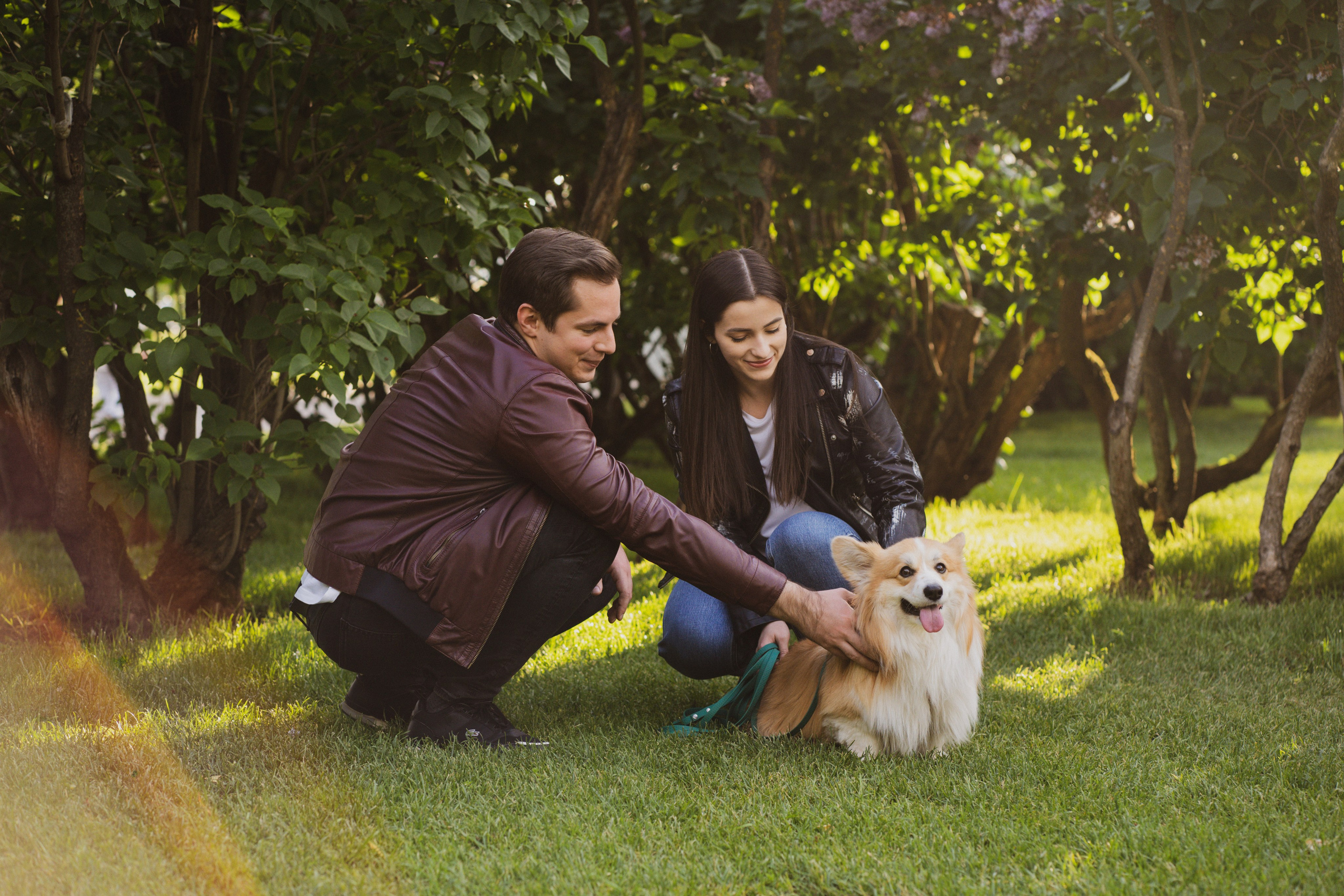 Катя, Арсений и Пух. Свадебный фотограф в Москве Анна Полушина