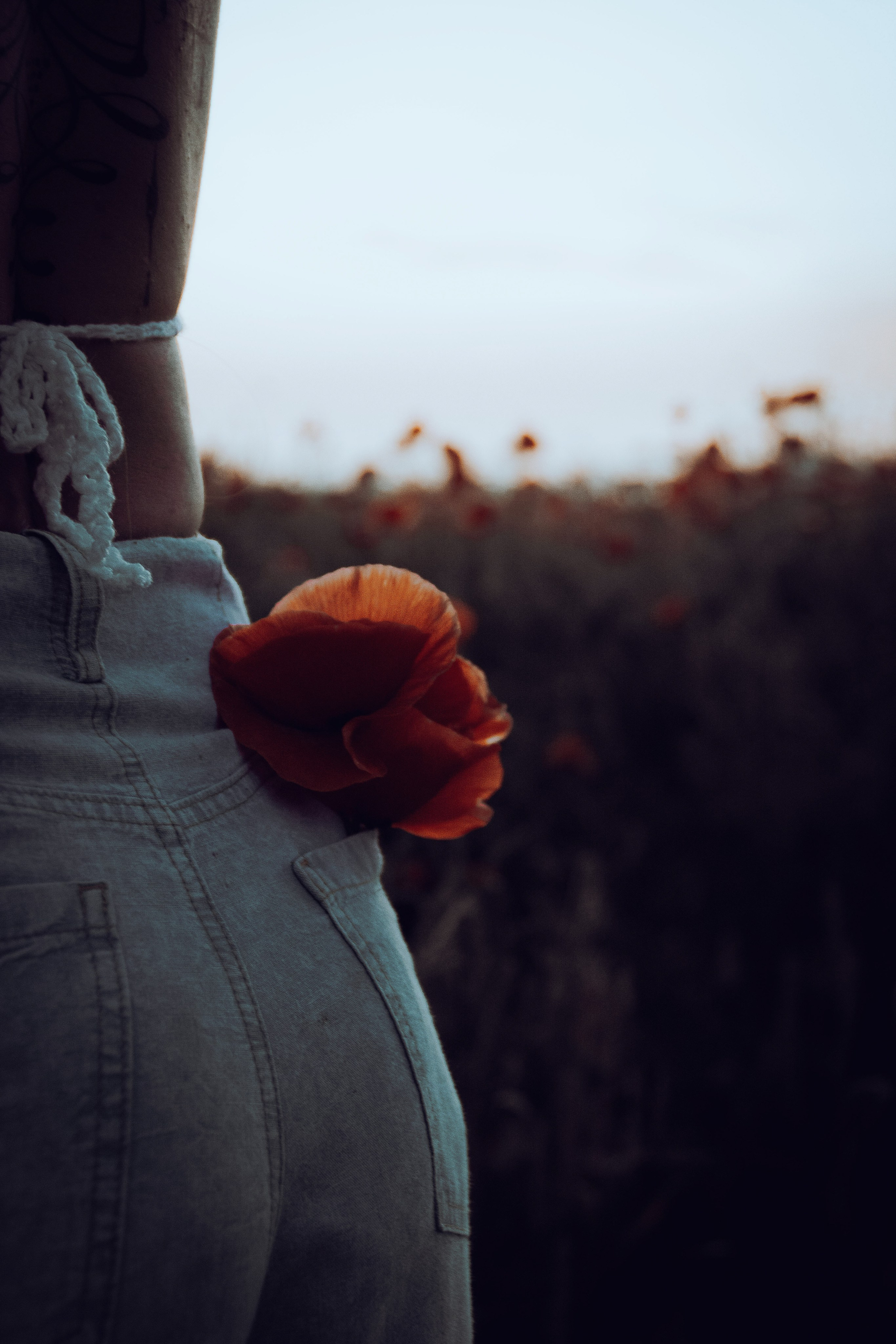 Фотосессия в поле маков. Елена Волкова семейный фотограф в станице Гостагаевской города-курорта Анапа