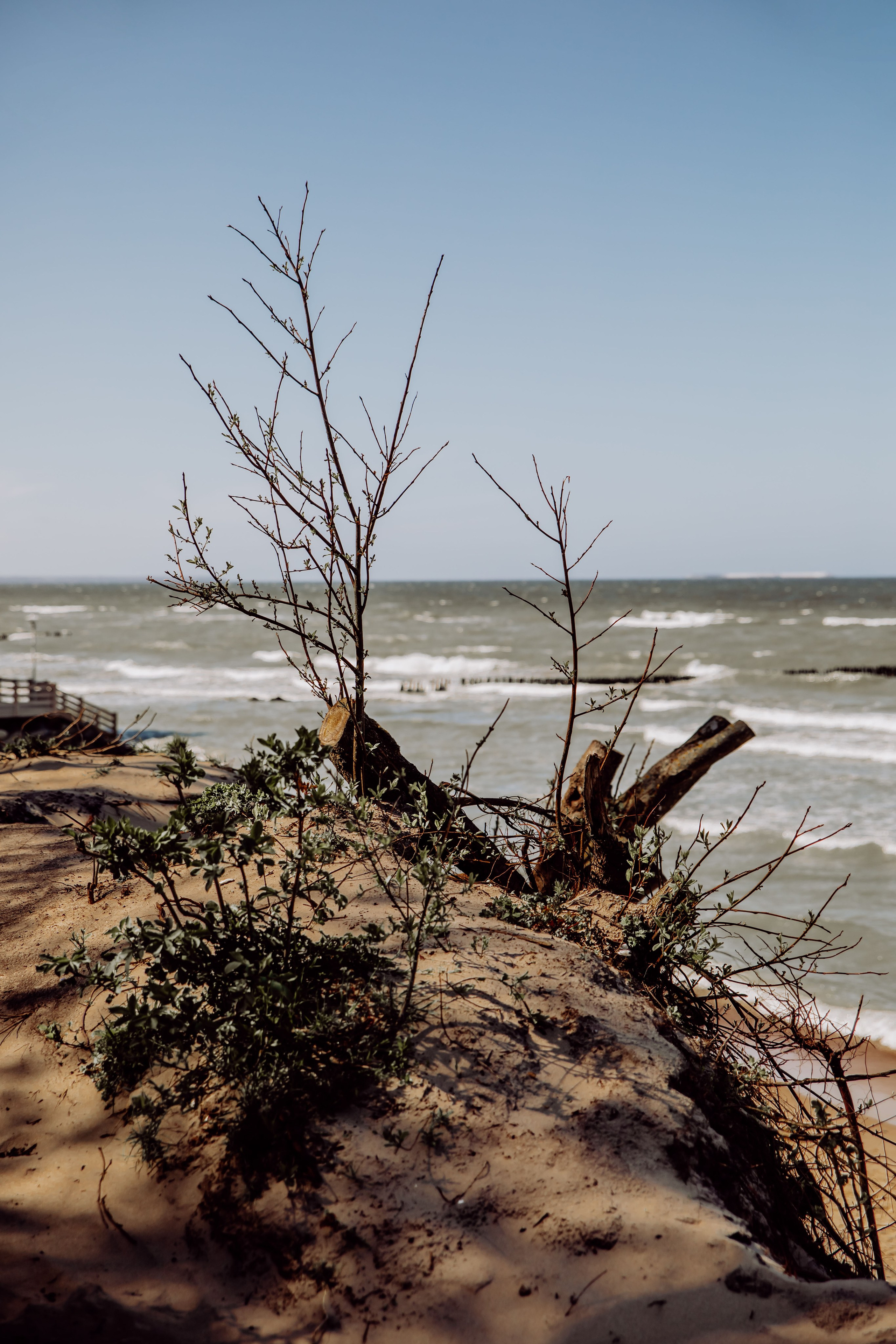 Анна. Фотограф Амалия Ахмедова, Калининград
