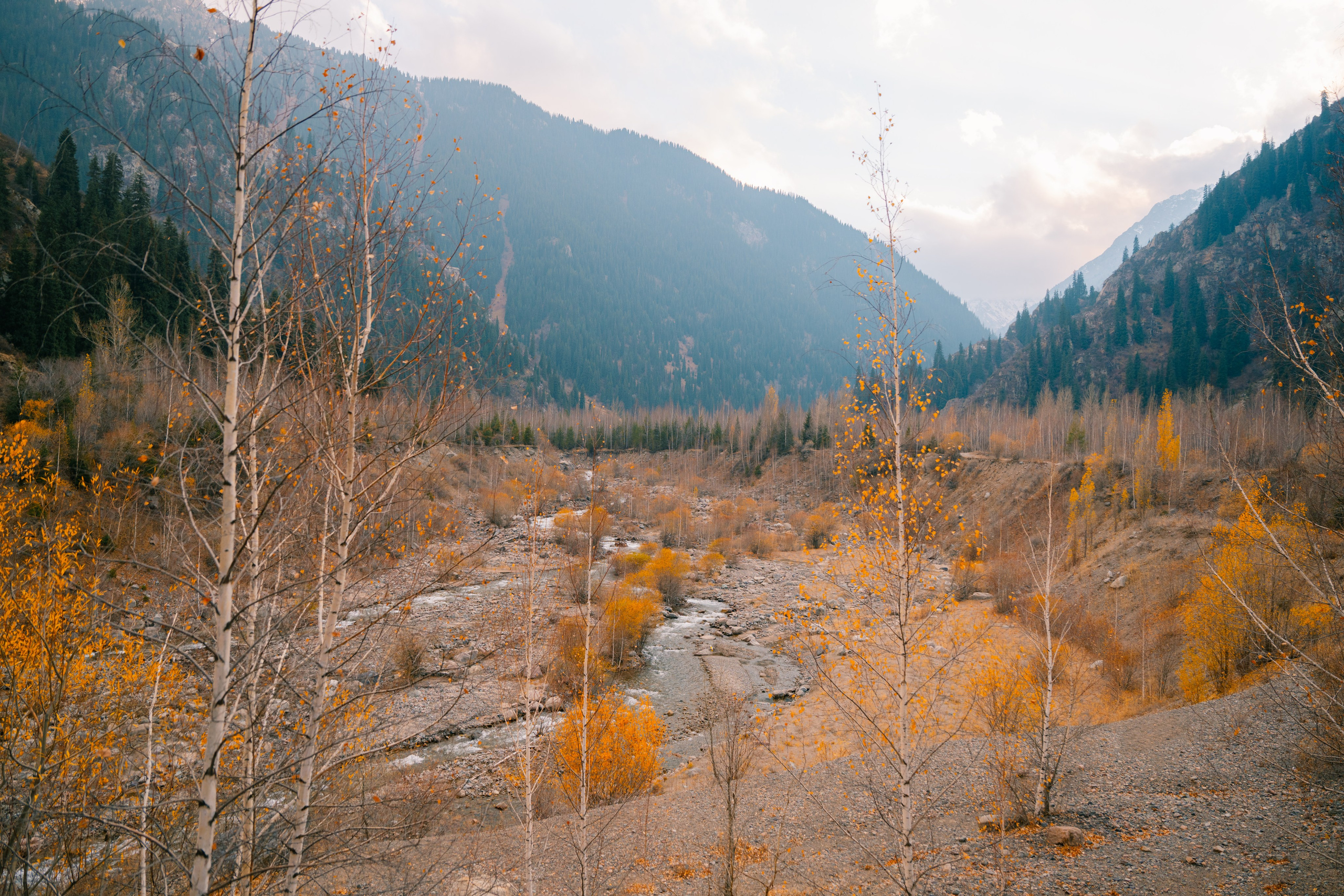 Озеро Иссык, осень 2025. Фотограф в Алматы — Алексей Коньков | Репортаж, свадьбы, портреты