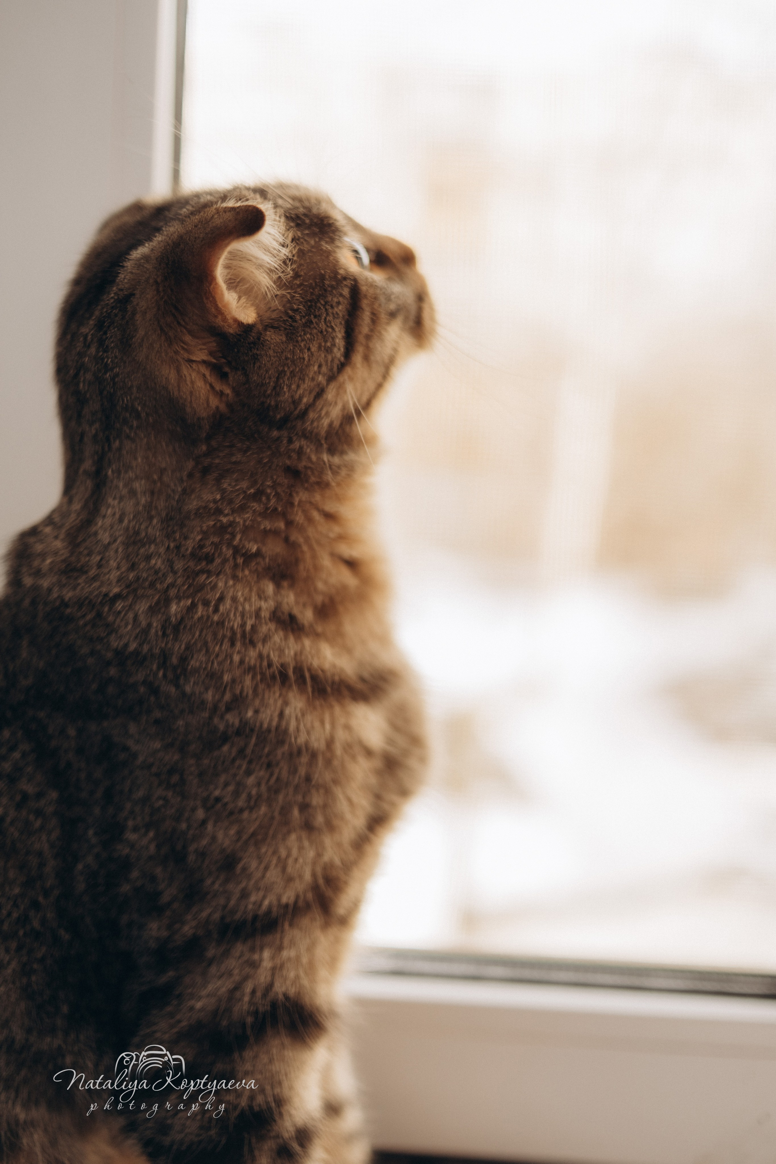 Семейный фотограф Марьино Москва. Ретушь новорожденных, обучение ретуши новорожденных, Наталия Коптяева
