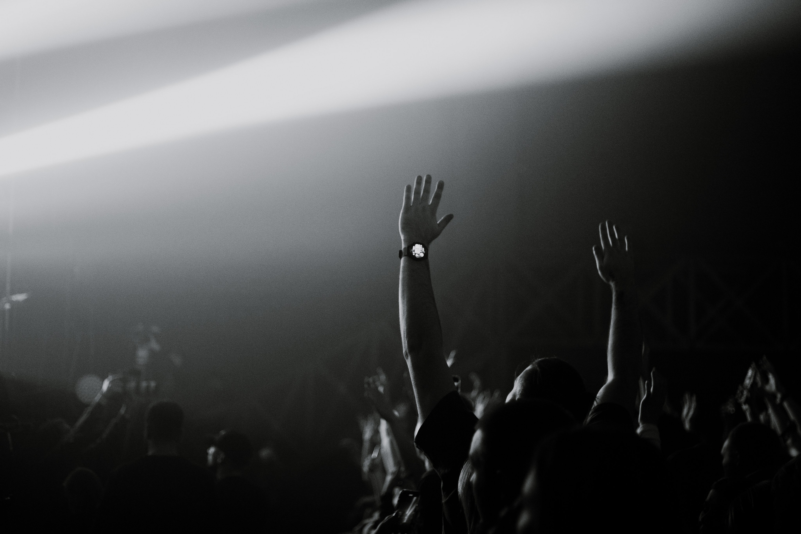 LOC-DOG. Фотограф Москва