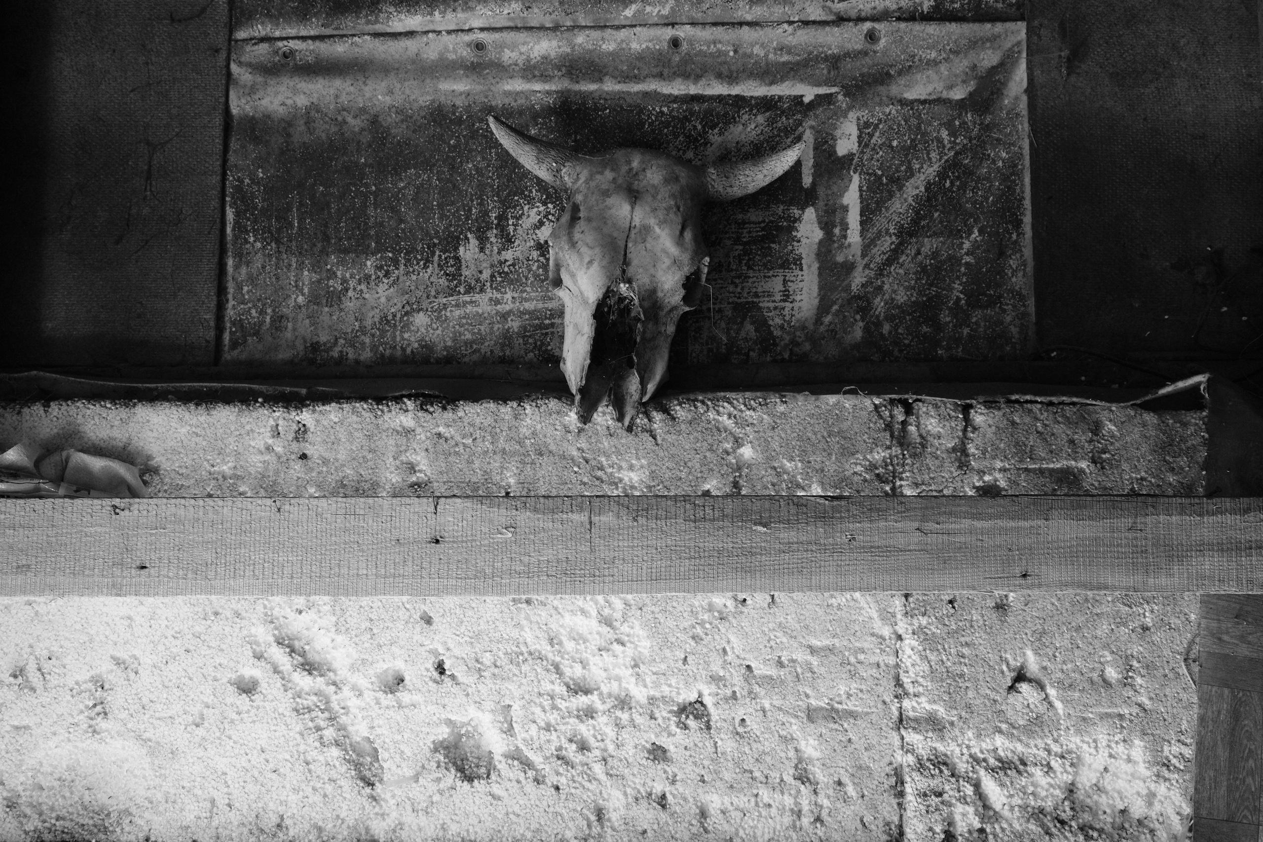 Сухобузимский 25.05-22.06.2025. Фотострелка