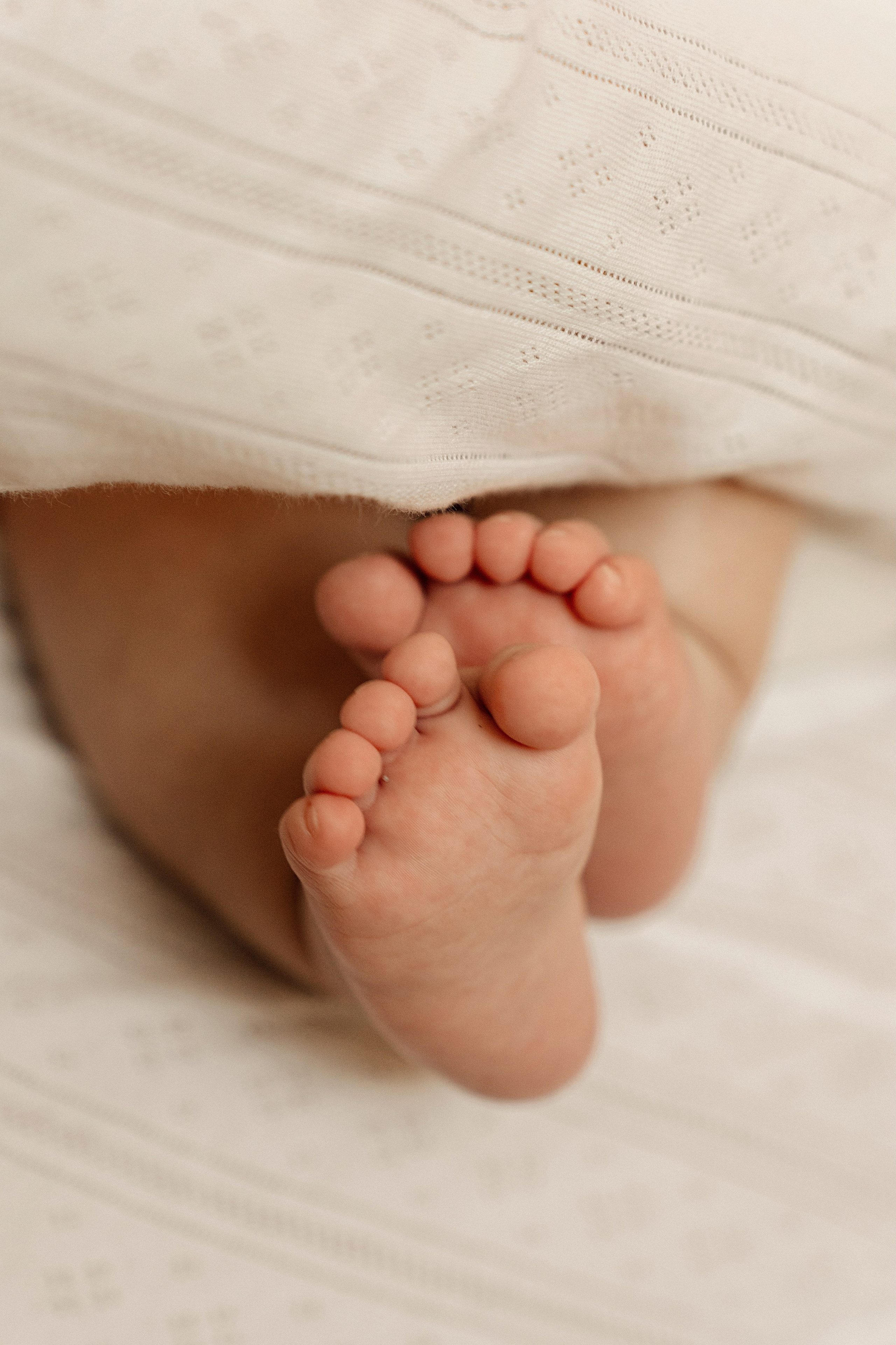 Уютная семейная фотосессия. Главная