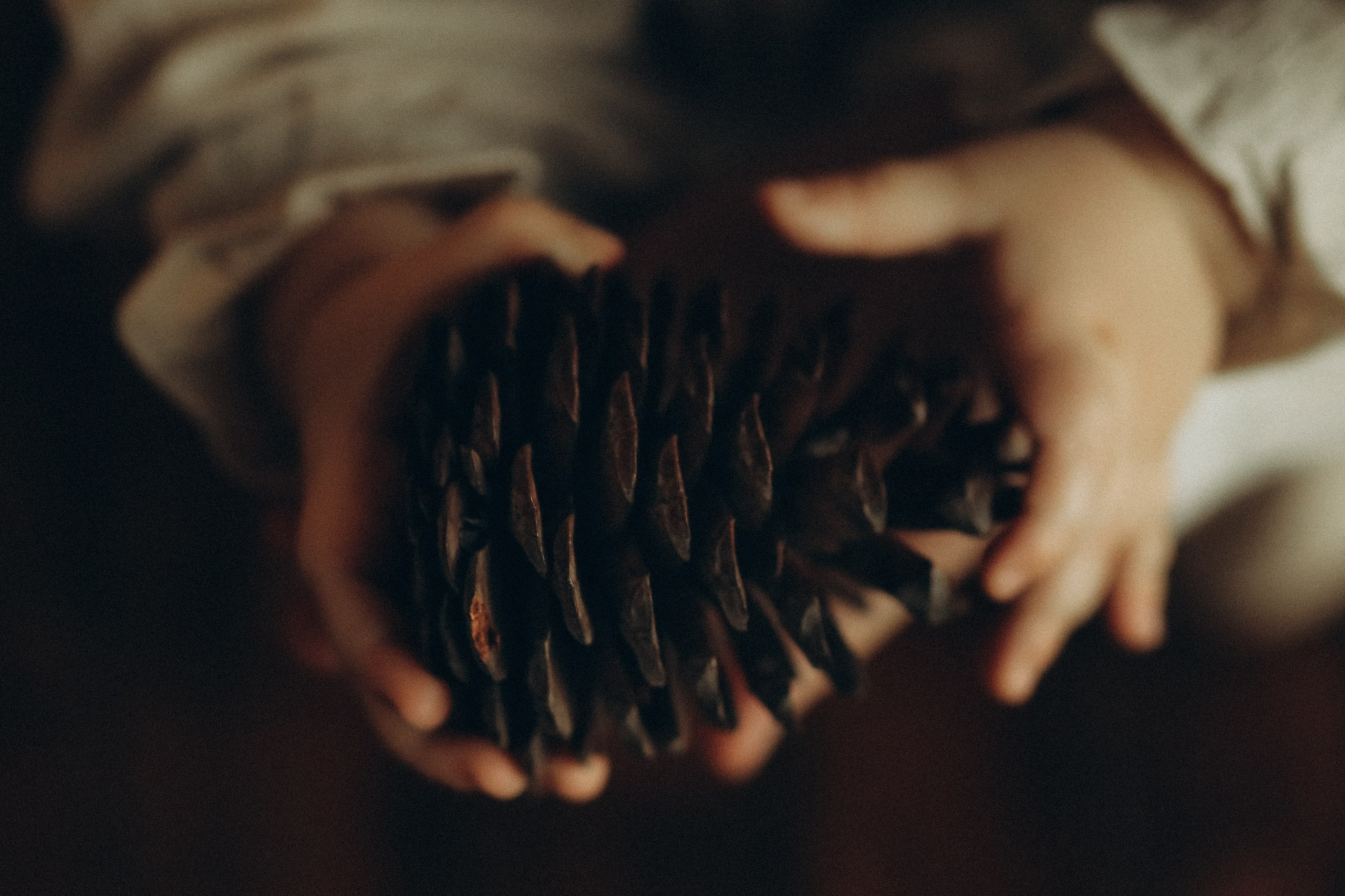 Новогоднее настроение. Семейный и детский фотограф в Москве Анастасия Меликова