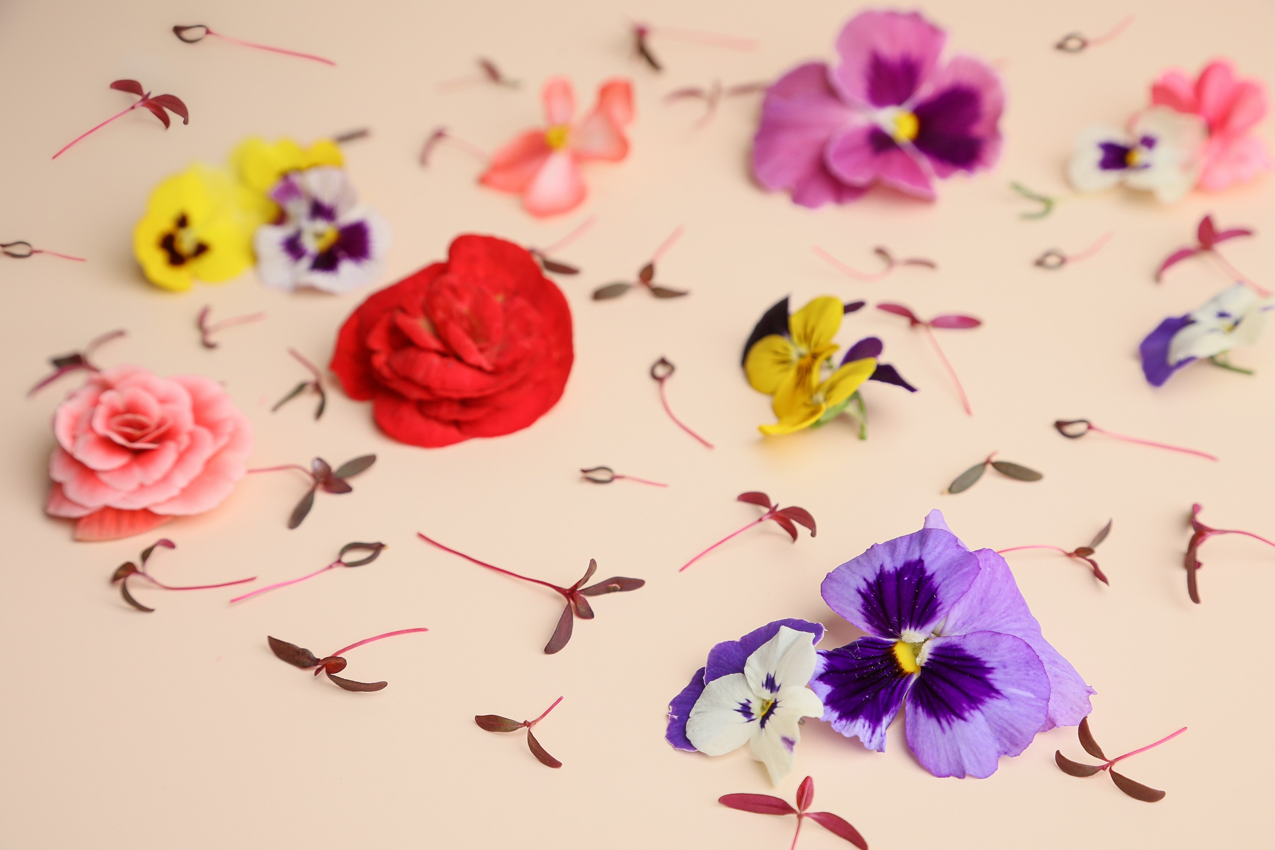 Портфолио. Предметная съемка