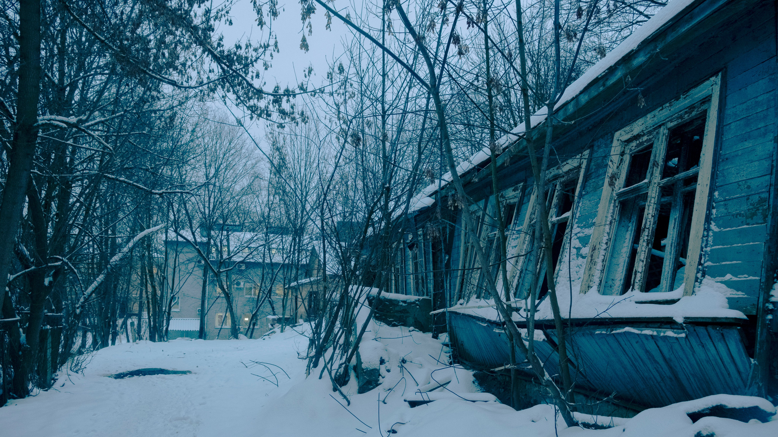 Смоленск 2024. Портретный фотограф в Москве Евгения Яковенко