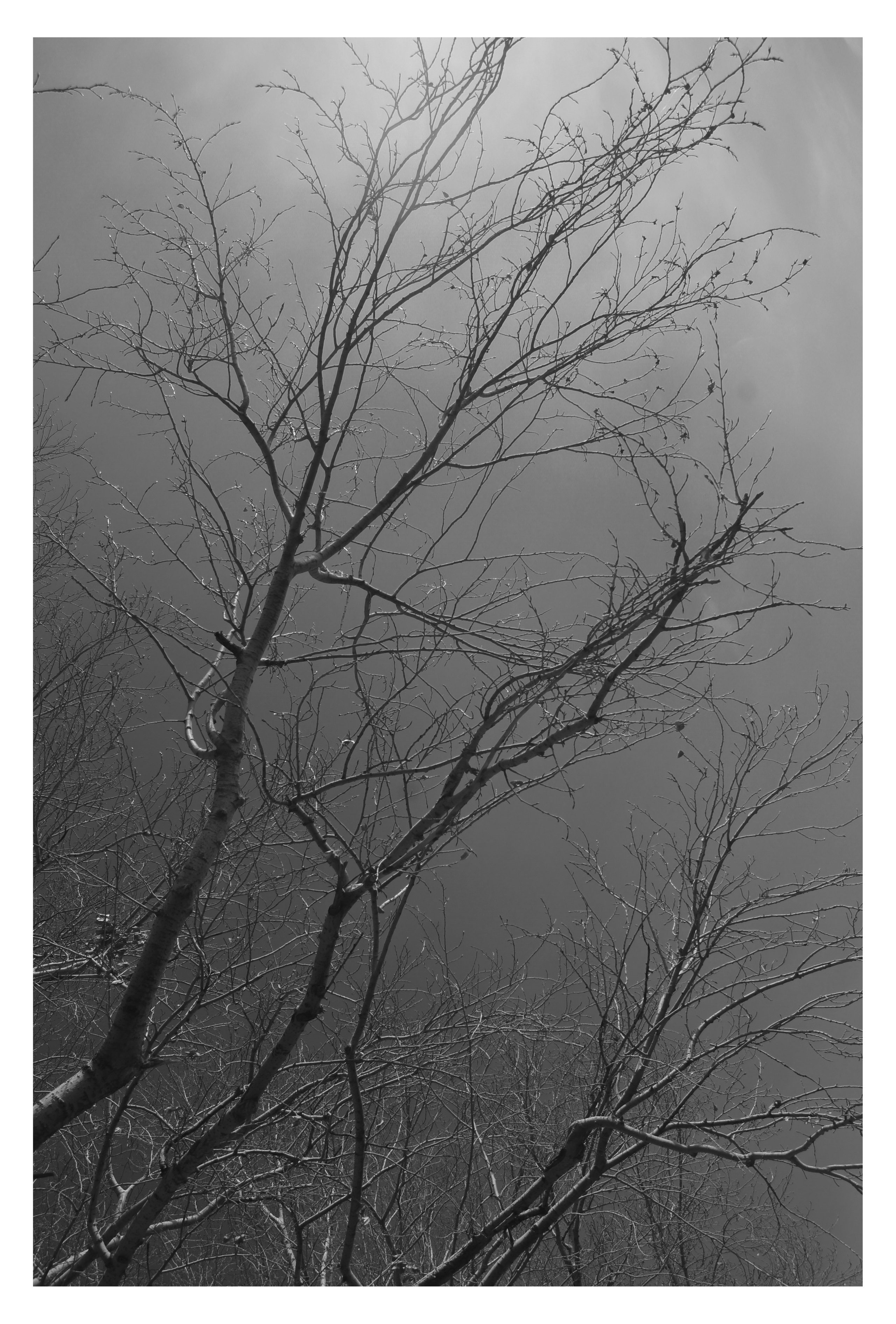 MIASS. Photographer Manakova Olga