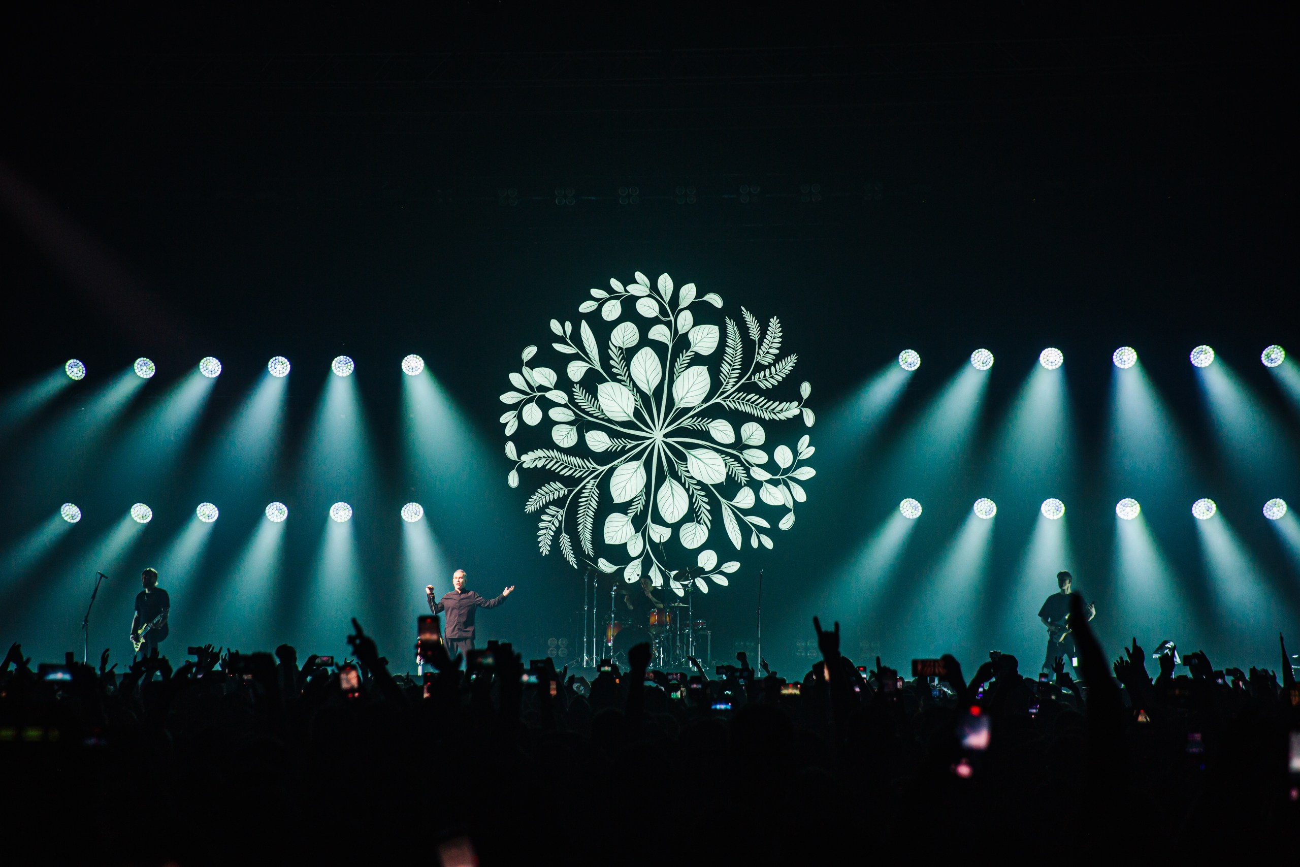 25/17 / САНКТ-ПЕТЕРБУРГ / 2024. OOPS