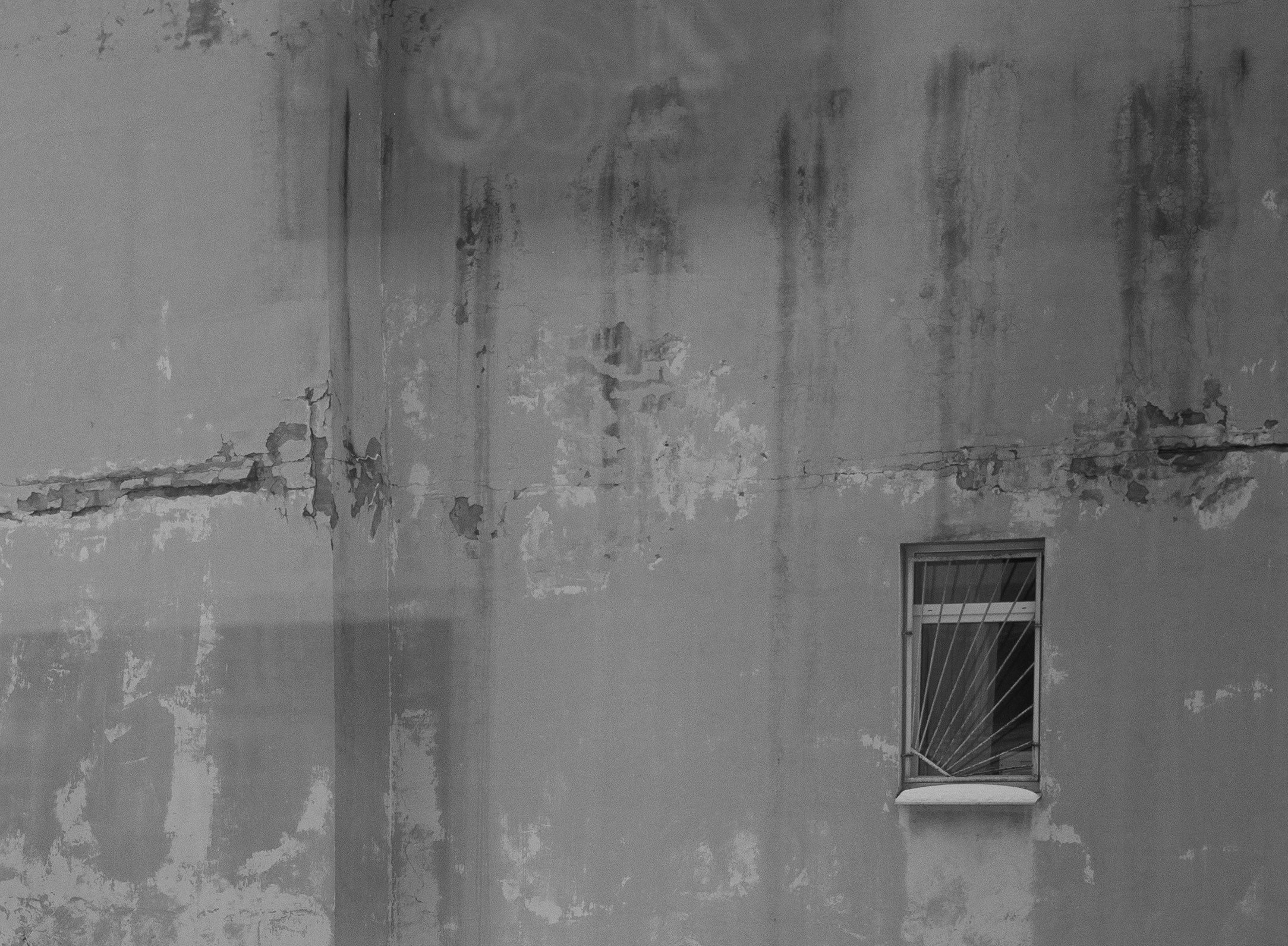 Разное неважное. Фотограф в Москве Алейникова Евгения