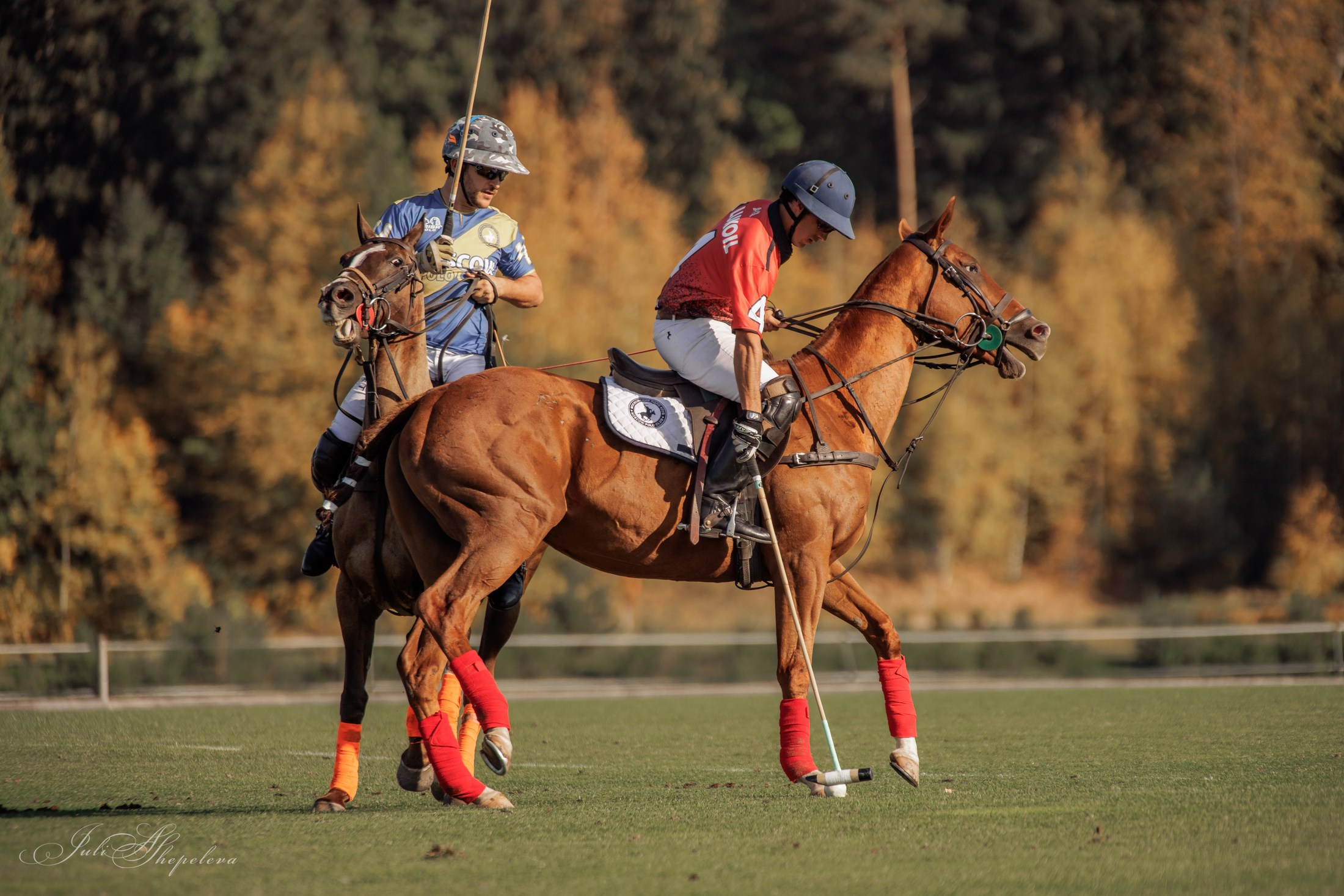 Осенний кубок по конному поло. Детская Конная фотография в Москве Юлия Шепелева