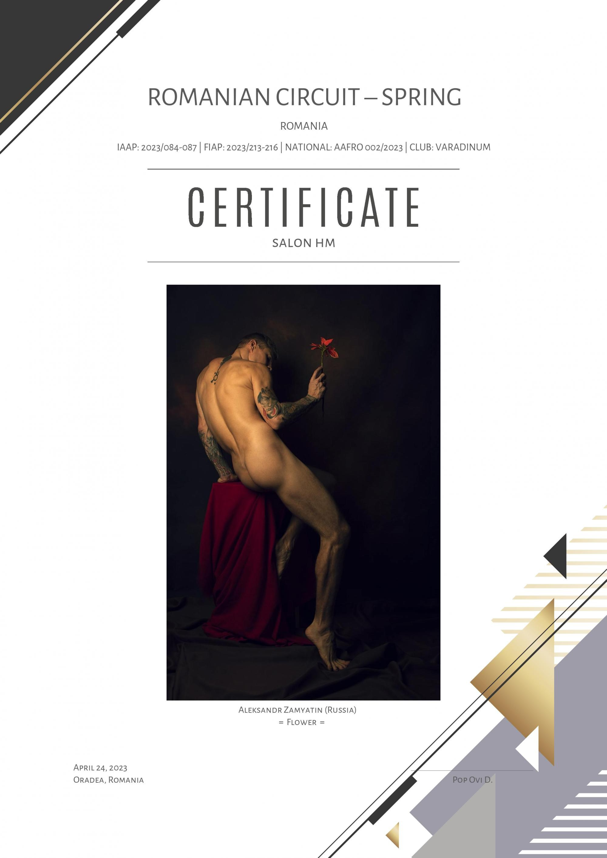 Мои награды