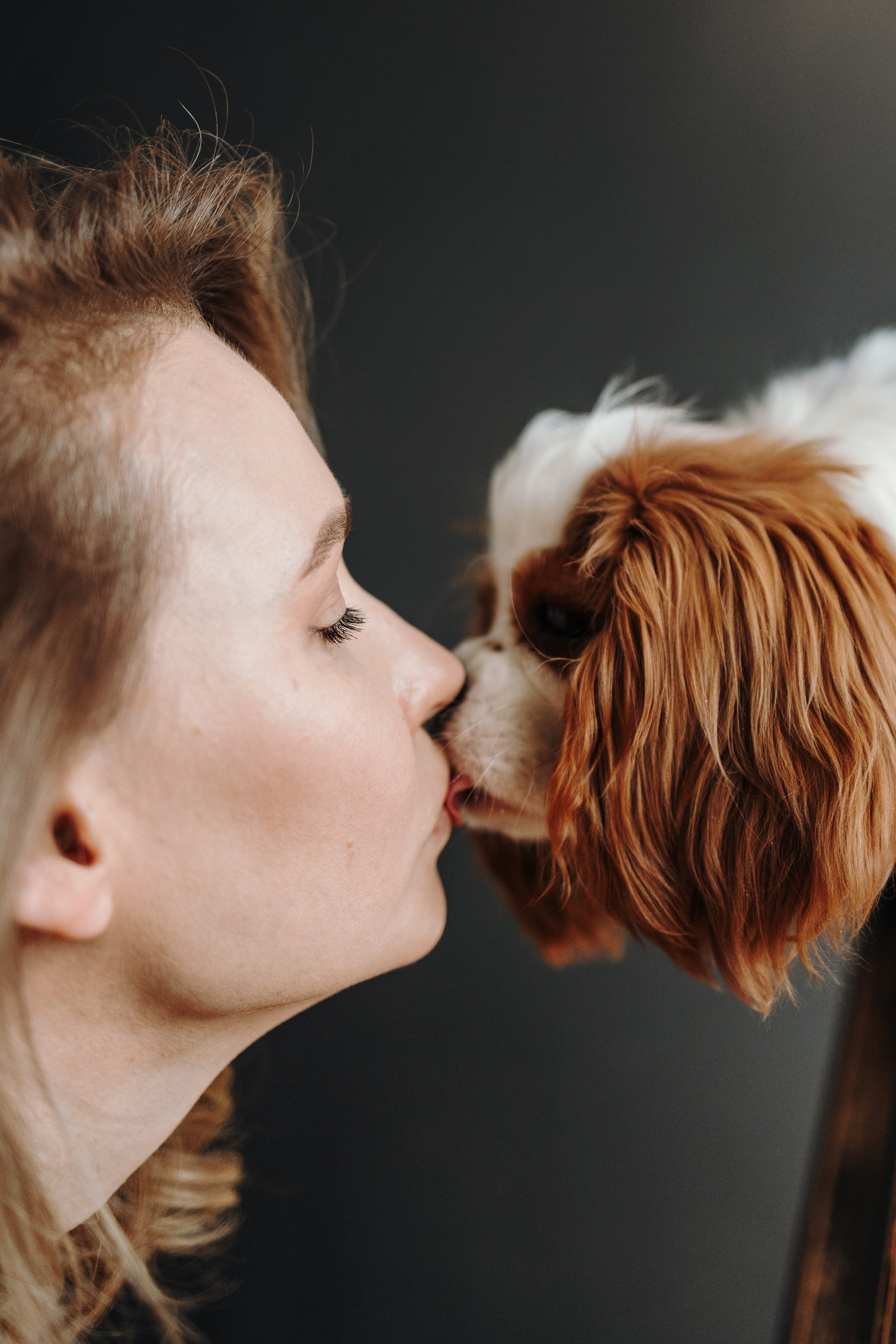 Плуто и его семья. Фотограф — Анималист | Санкт-Петербург