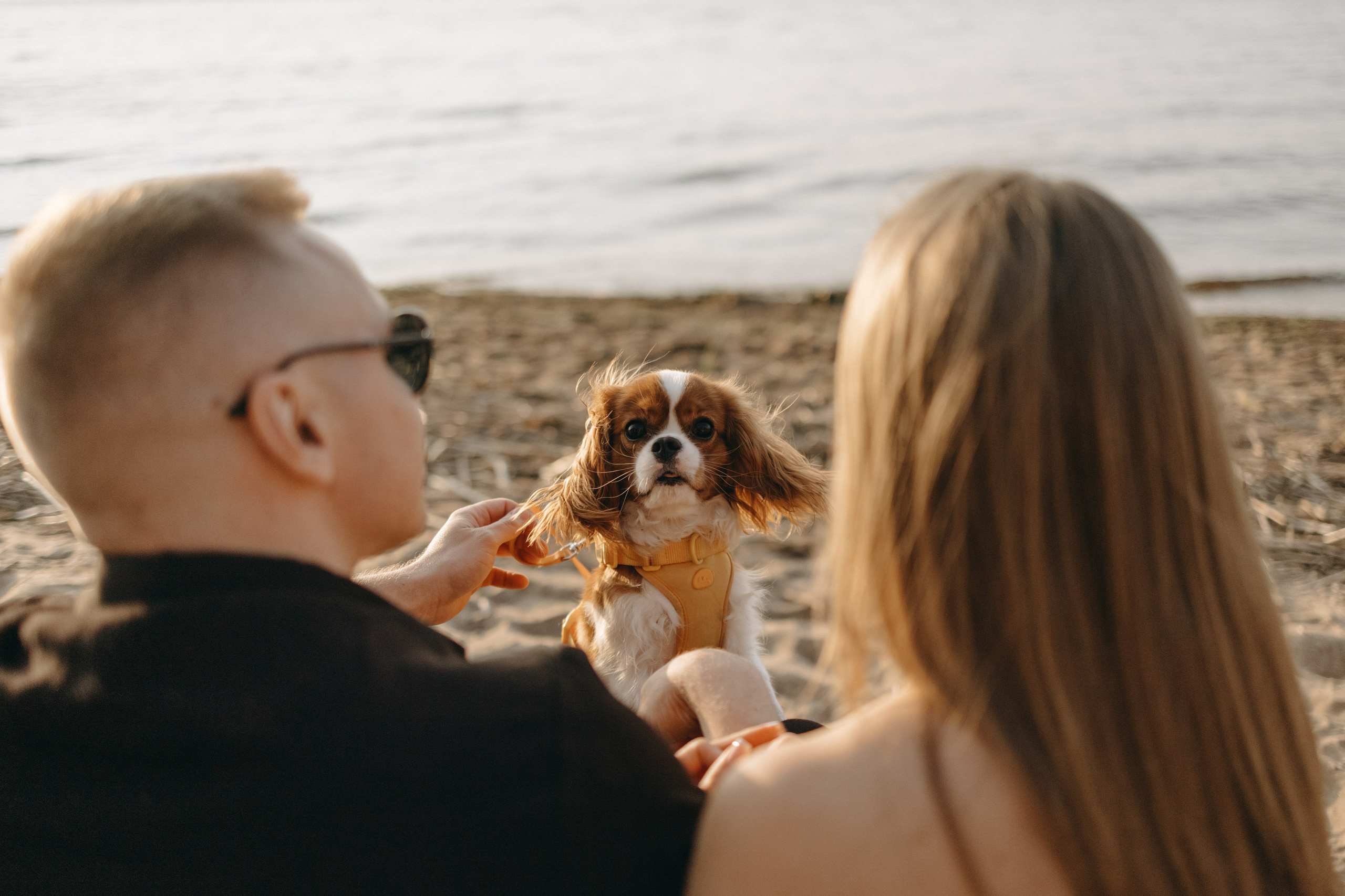 Лу и его семья. Фотограф — Анималист | Санкт-Петербург