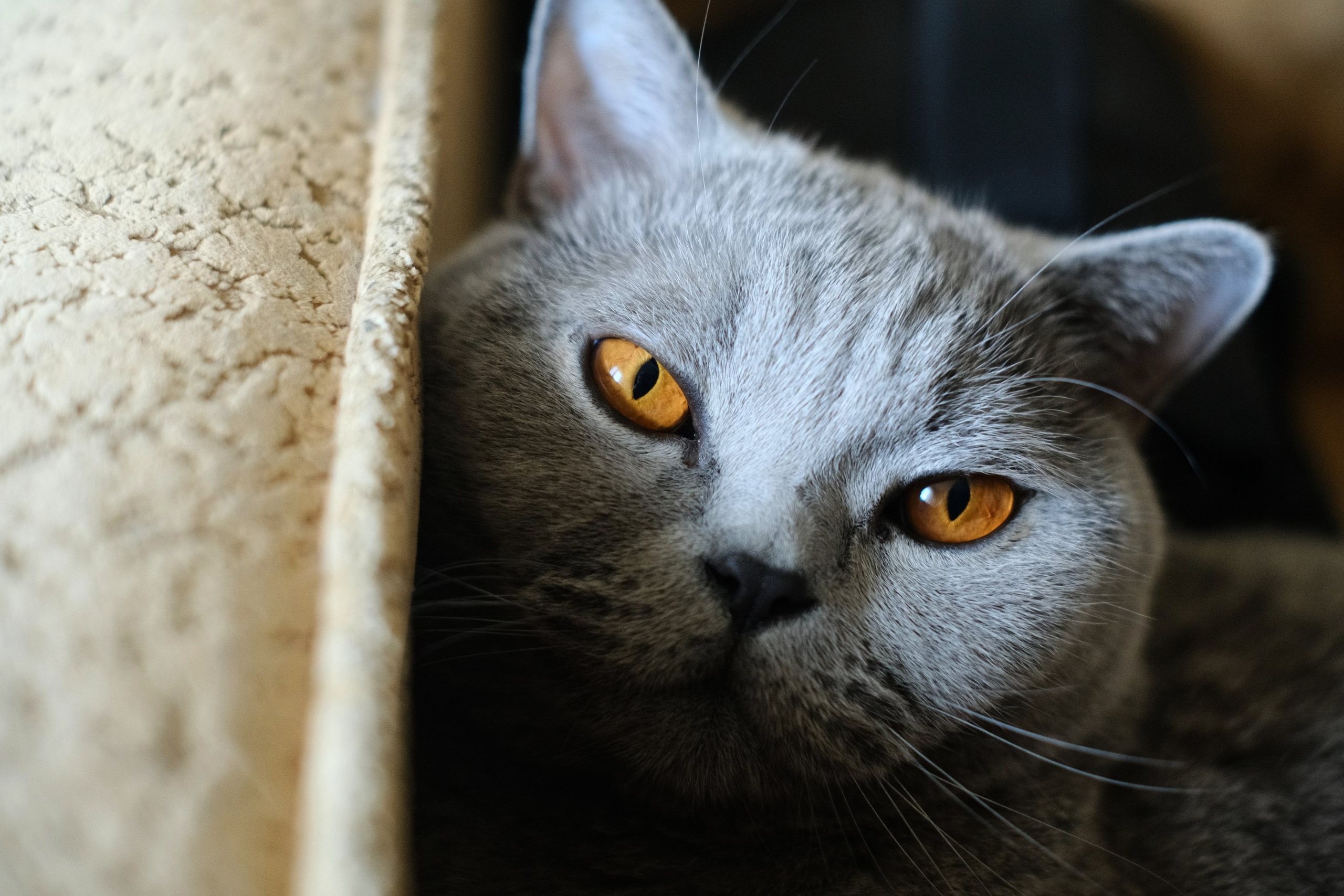 Улица, люди, жизнь…