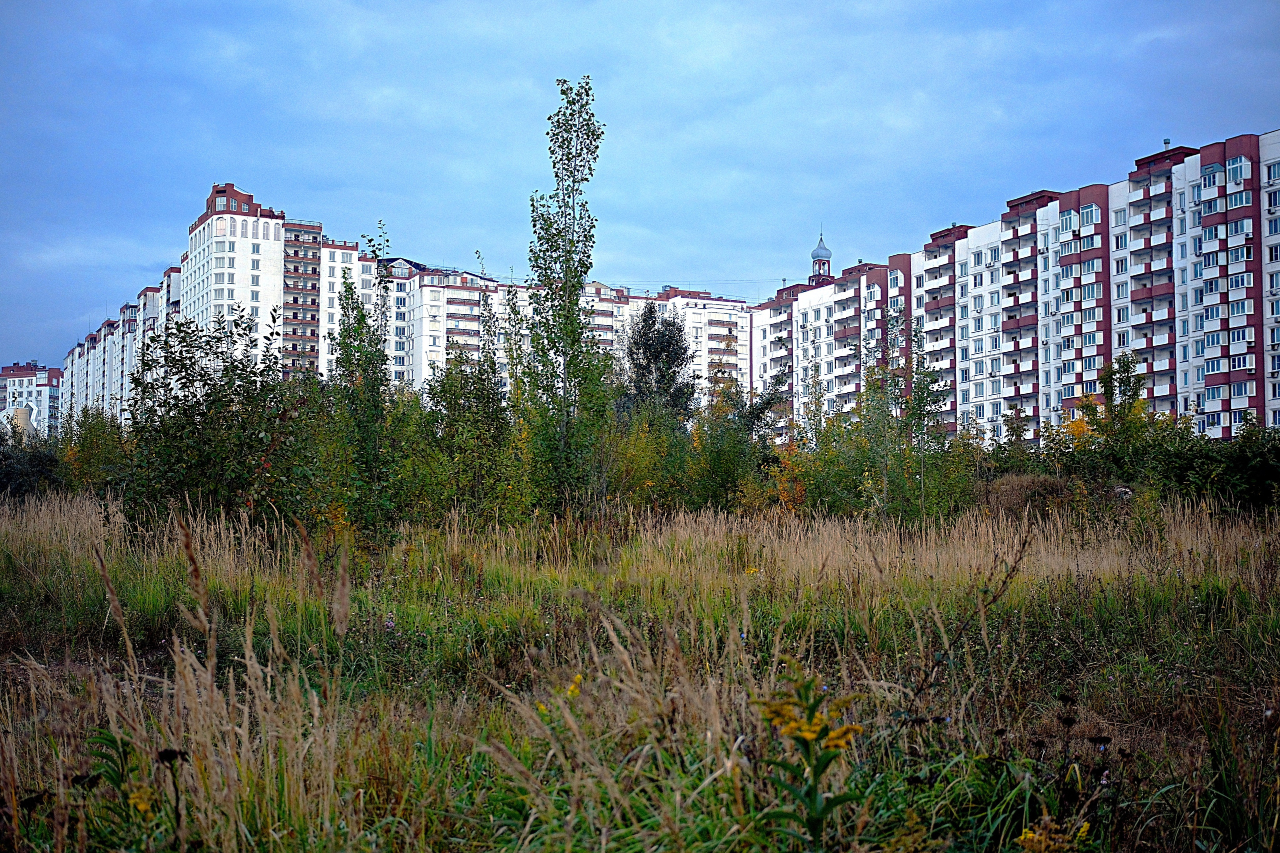 Улица, люди, жизнь…