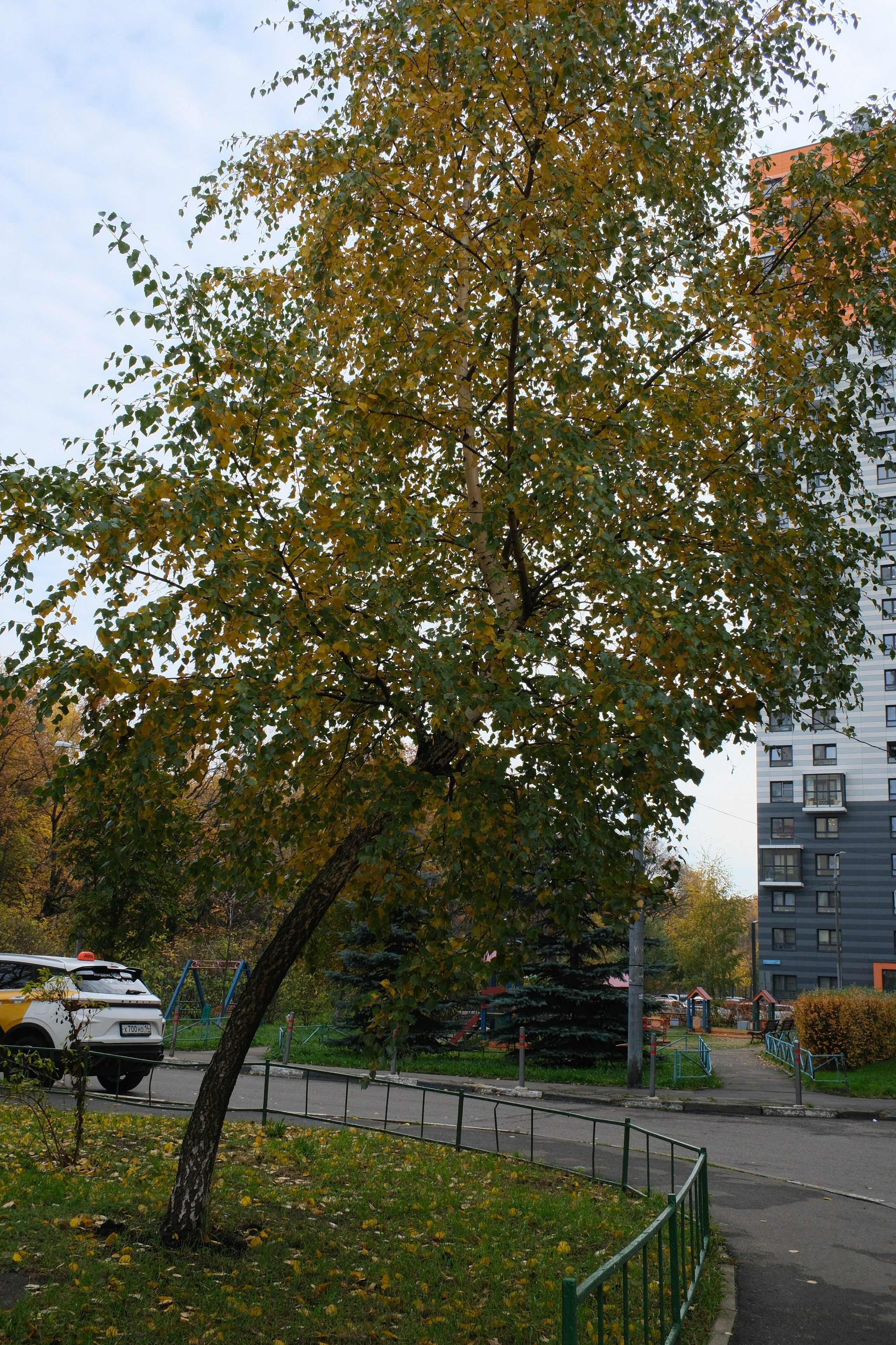 Улица, люди, жизнь…